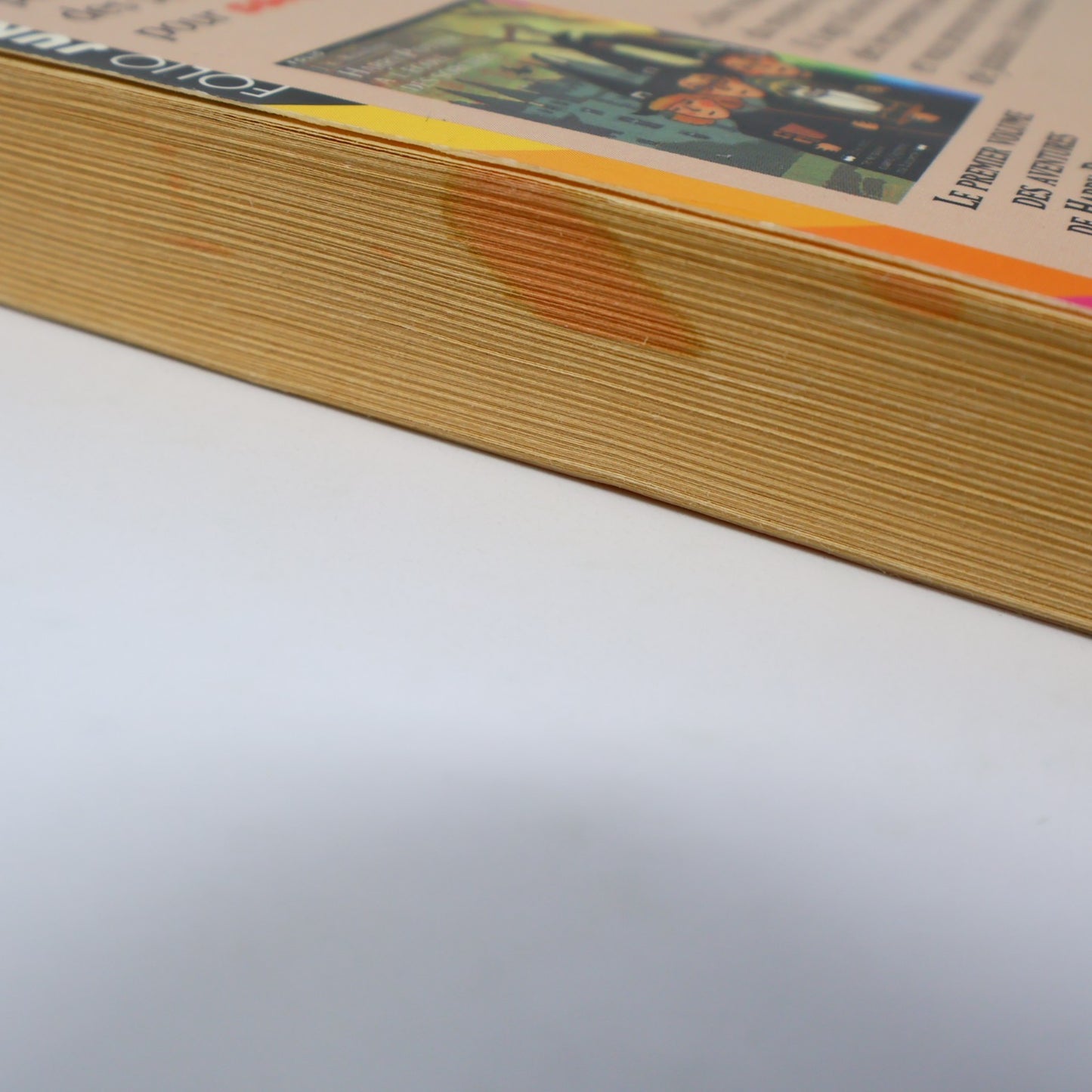 Harry Potter et la Chambre des Secrets Livre 1ère Édition Illustrée Août 1999 PB