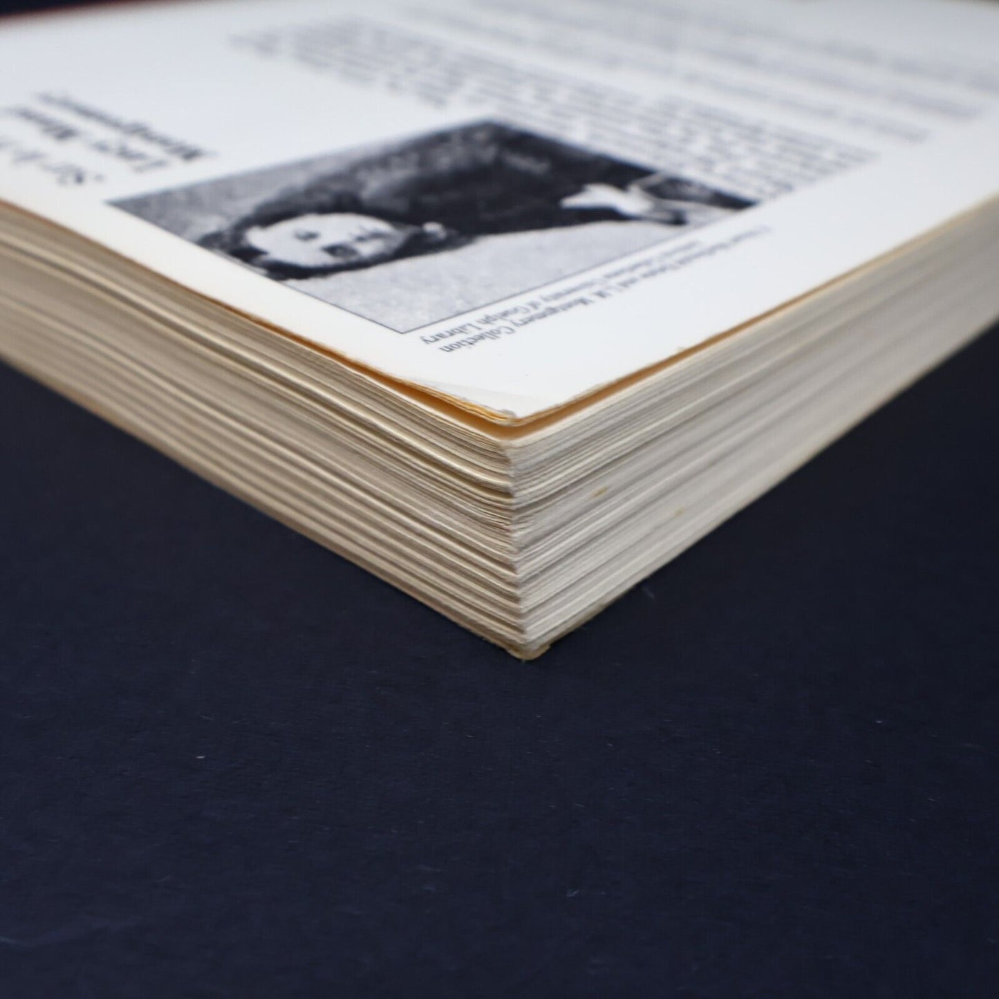 1990 Sur le Rivage de Lucy Maud Montgomery Roman Québec Amérique Français Livre