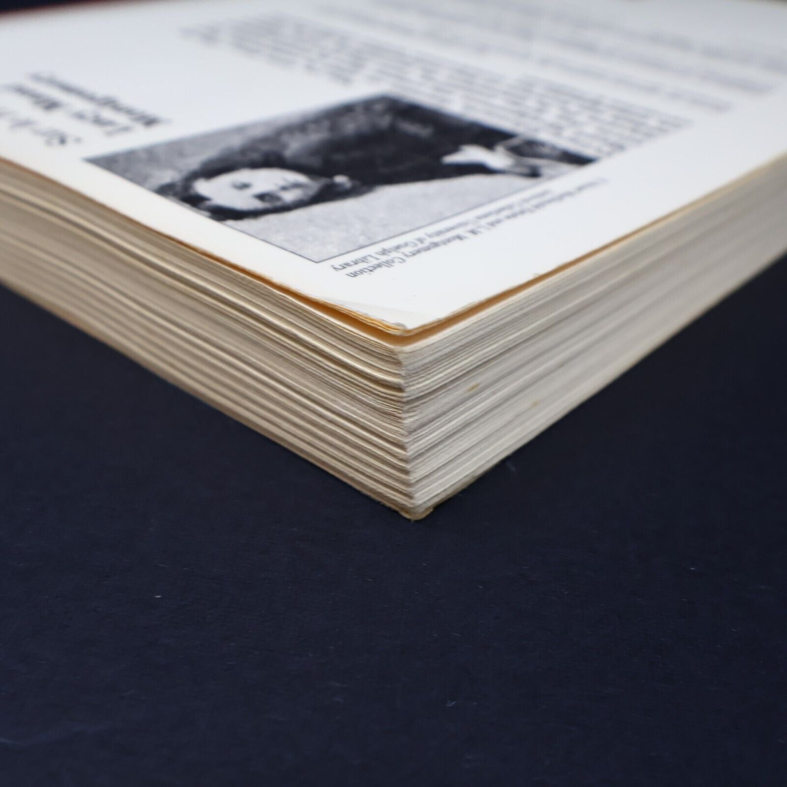 1990 Sur le Rivage de Lucy Maud Montgomery Roman Québec Amérique Français Livre