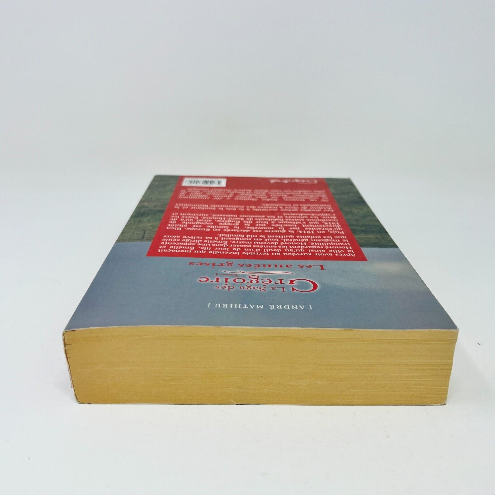 2012 La Saga des Grégoire #4 Les Années Grises de André Mathieu Coup d'Oeil PB