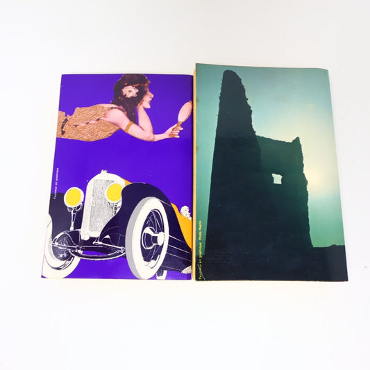 Rouletabille Gaston Leroux Château Noir Étranges Noces Lot 2 Livres Français 70s