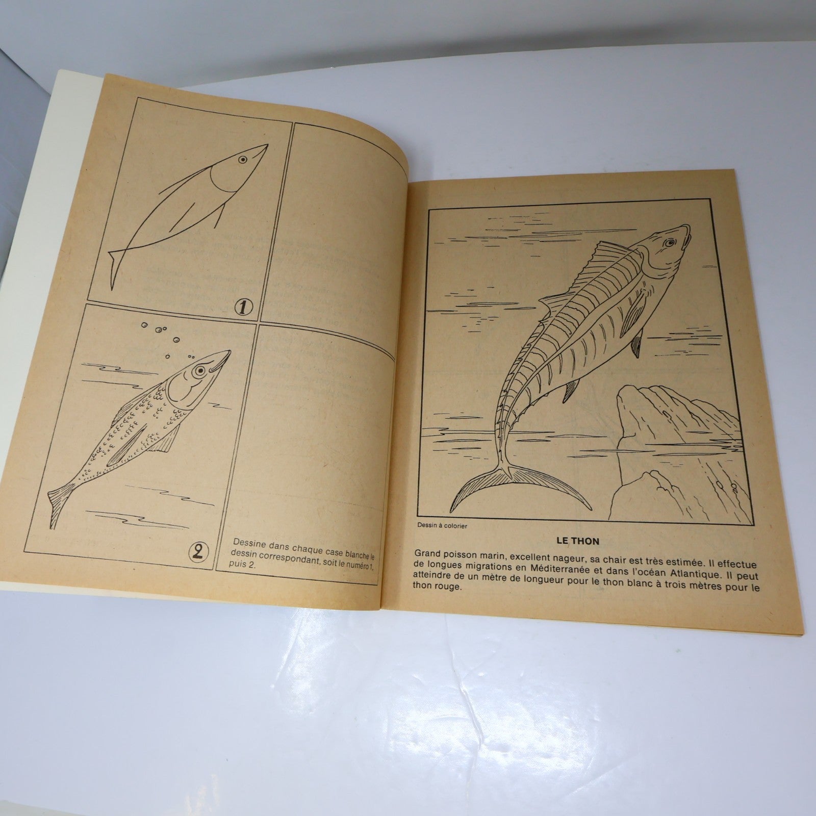 J'Apprends à Dessiner Lot 7 Livres à Colorier Québec Agenda Poissons/Espace 1984