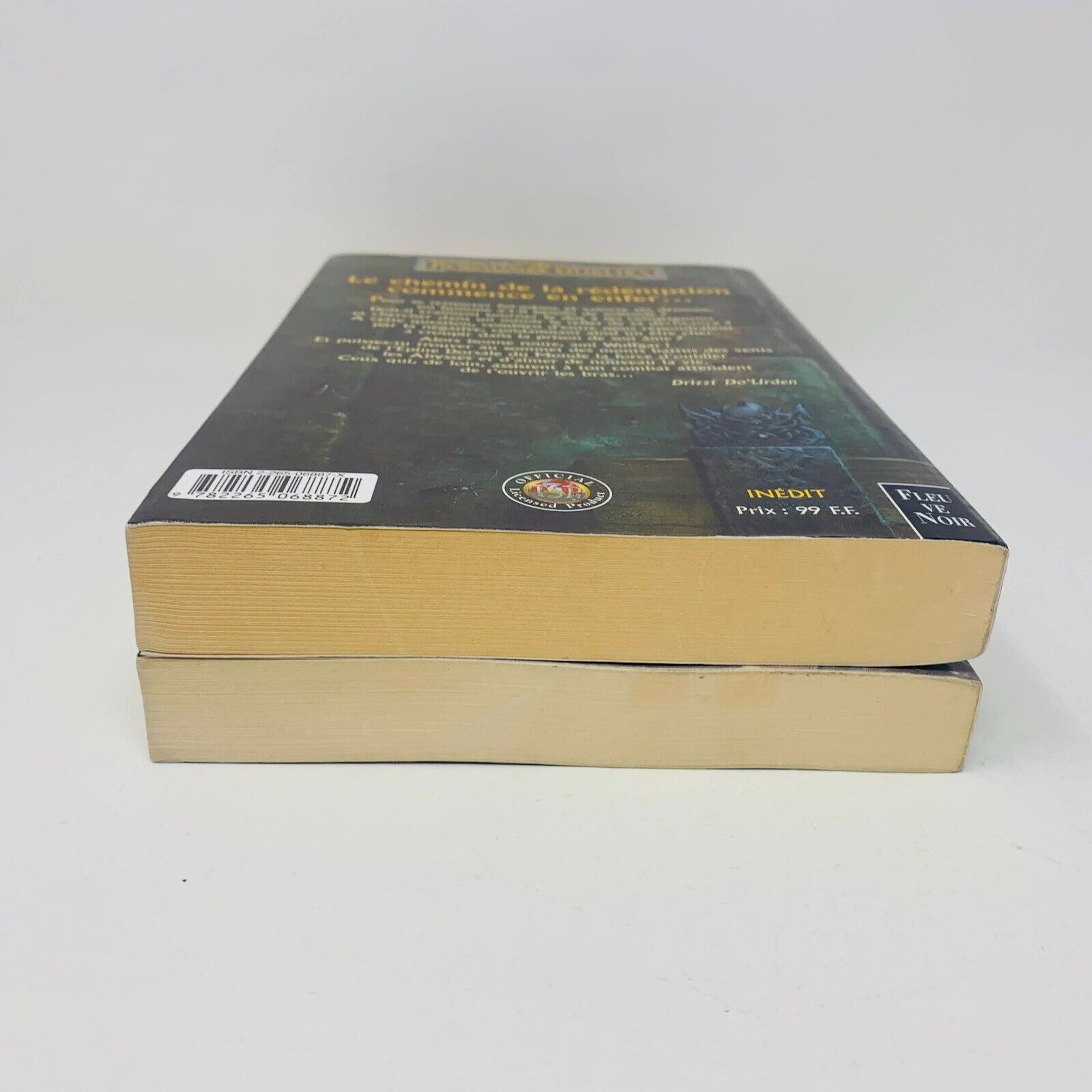 La Séquence d'Ombre-Terre #1 & 4 Grand Format Lot Royaumes Oubliés Fleuve Noir