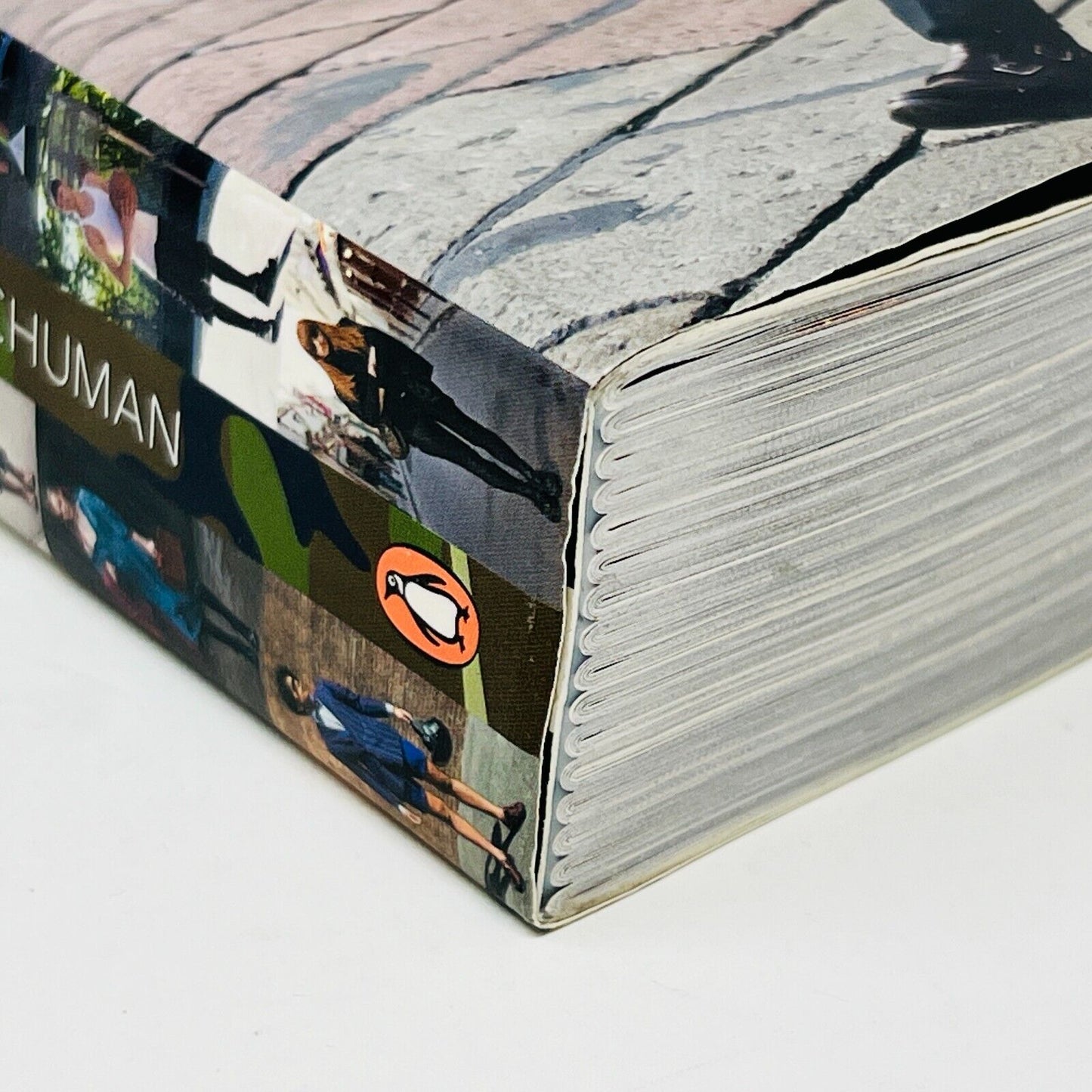2012 The Sartorialist Closer by Scott Schuman Trade Paperback Penguin Books