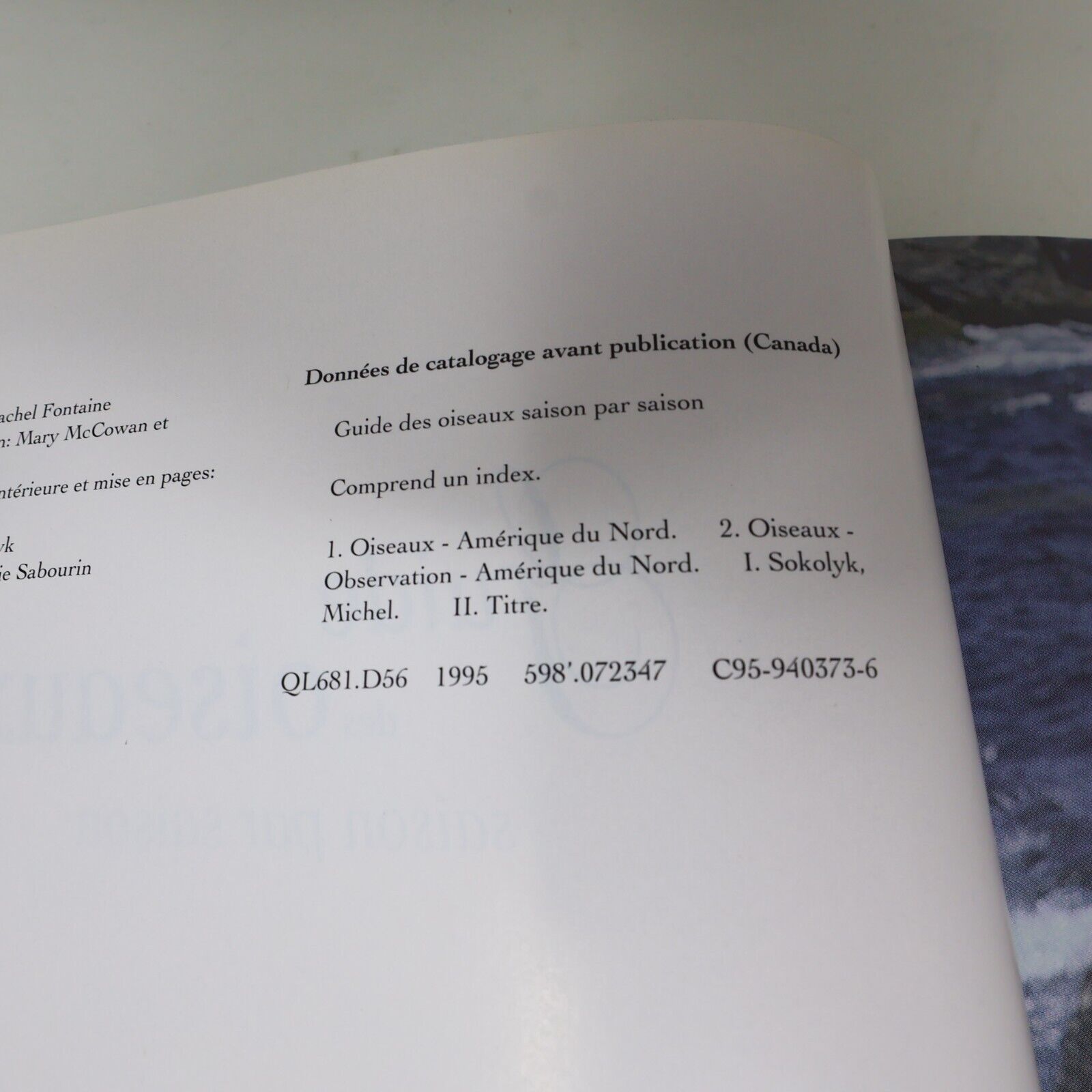 1995 Guide des Oiseaux Saison par Saison Dion/Sokolyk Ornithologie Animaux Livre