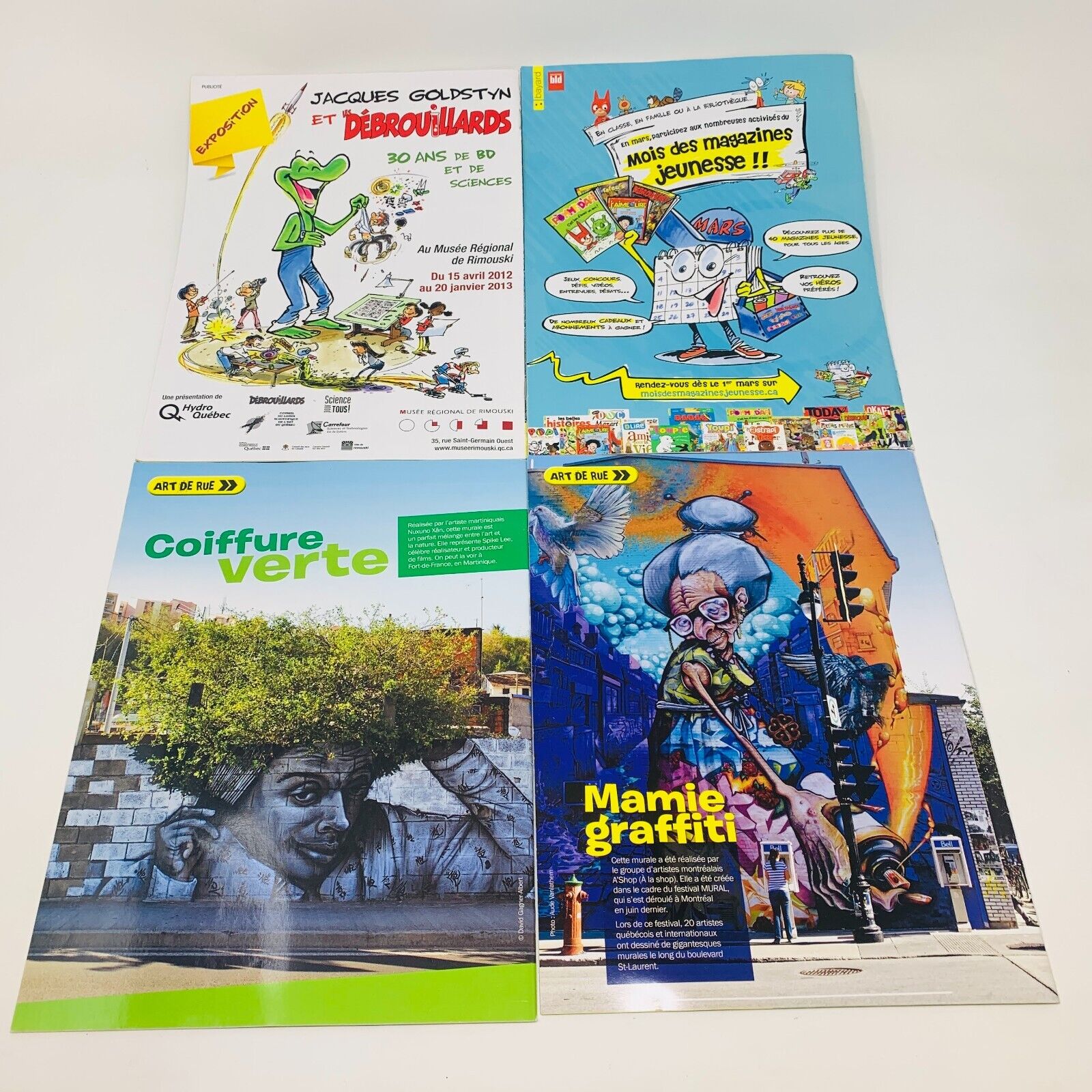 Lot de 9 Magazines Les DébrouillArts & Terre des Débrouillards Enfants Français