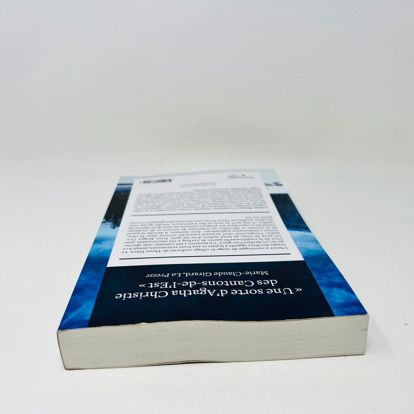 2011 Sous la glace de Louise Penny Armand Gamache Enquête Flammarion en Français
