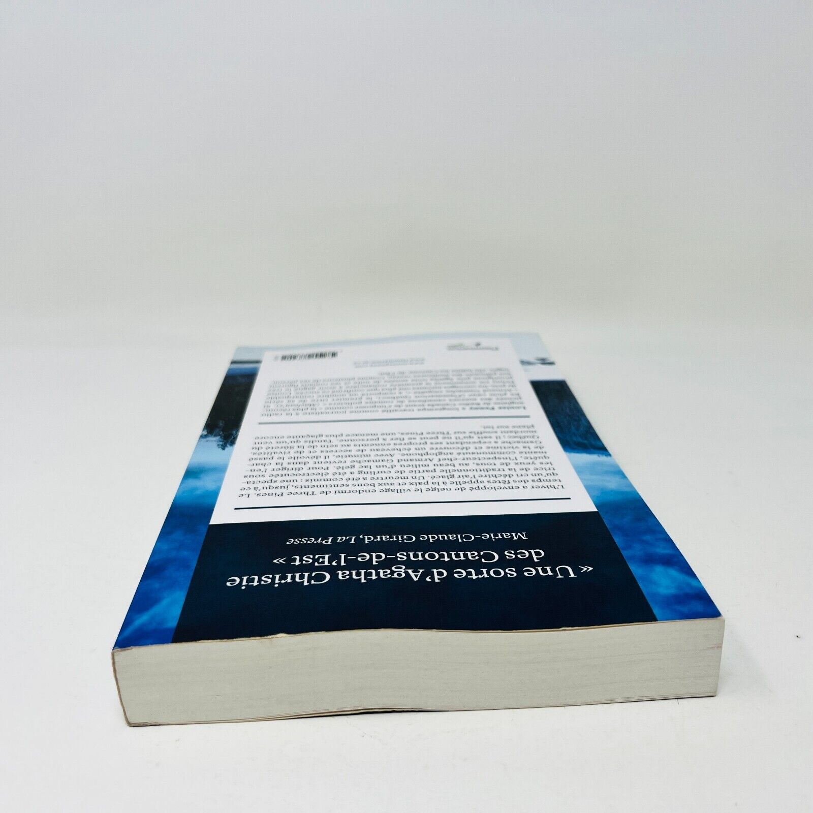 2011 Sous la glace de Louise Penny Armand Gamache Enquête Flammarion en Français