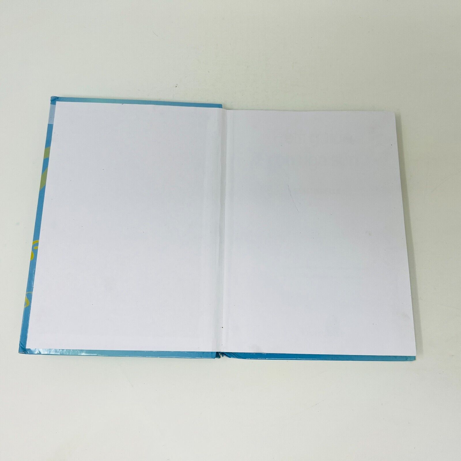 Bescherelle Petit Guide De Conjugaison Junior Livre Hurtubise Grammaire Verbes