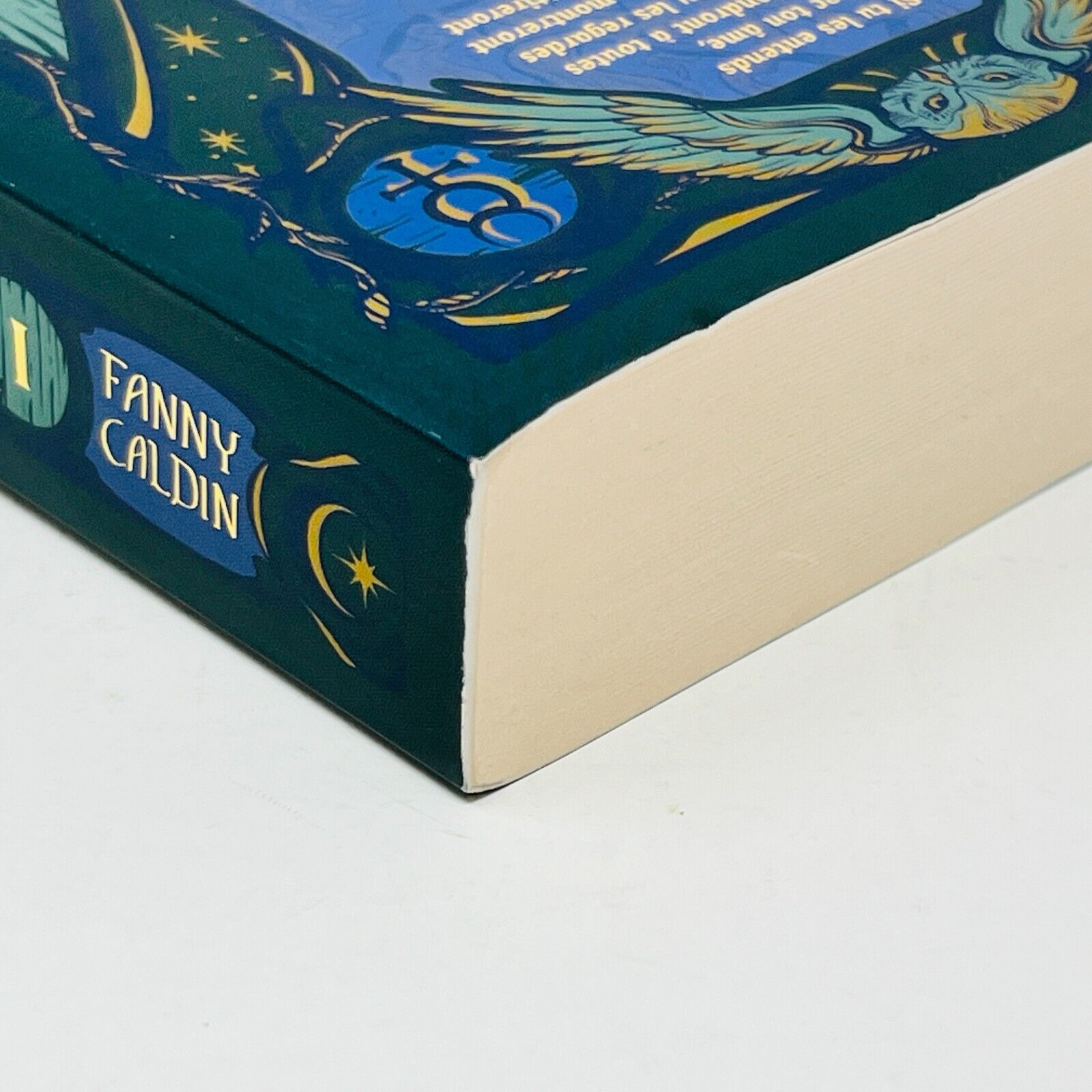 2023 Les Arcanes de Brume Livre 1 La Cartomancienne de Fanny Caldin en Français