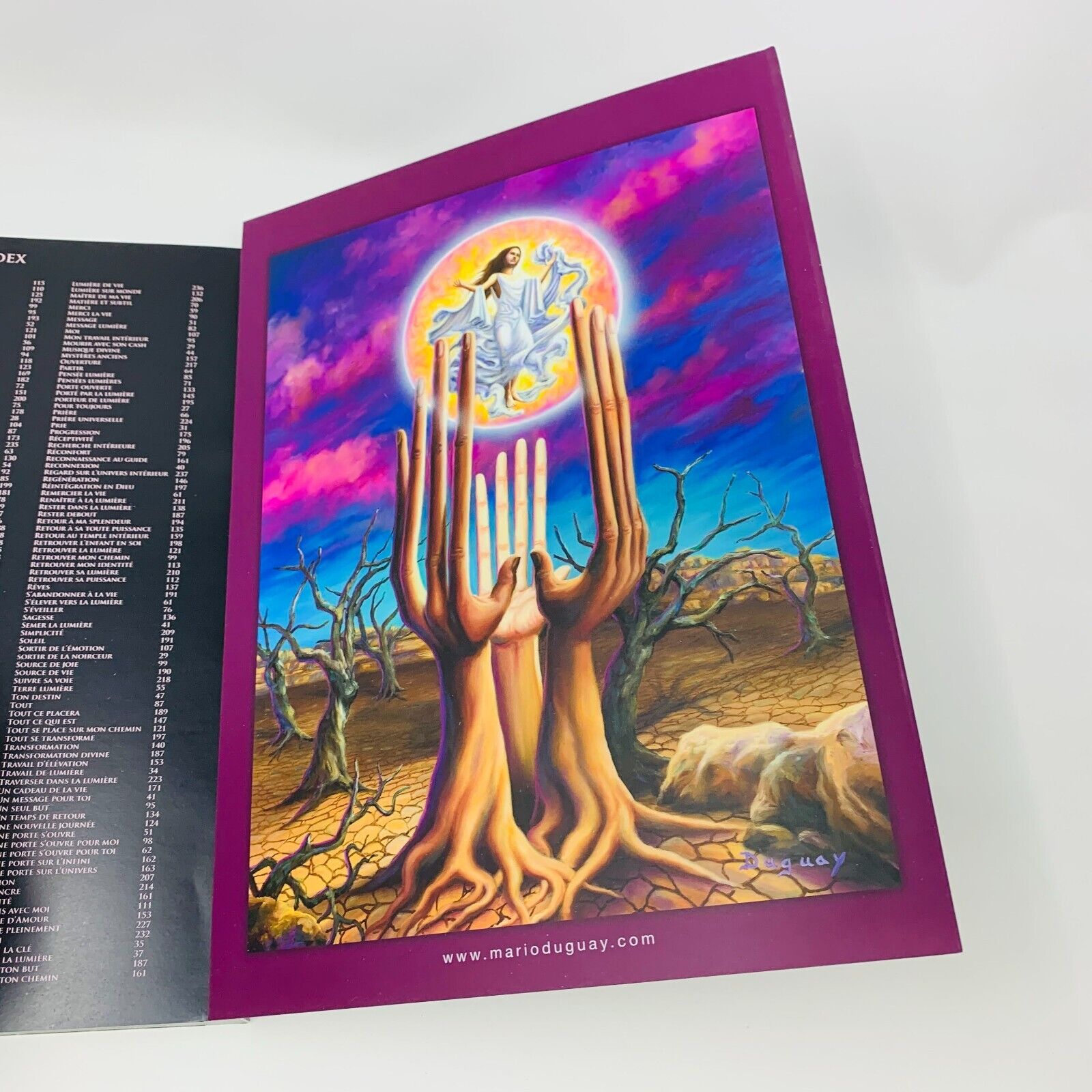 2012 Mario Duguay De l'Ombre à la Lumière Illustrations Peintures Français Livre