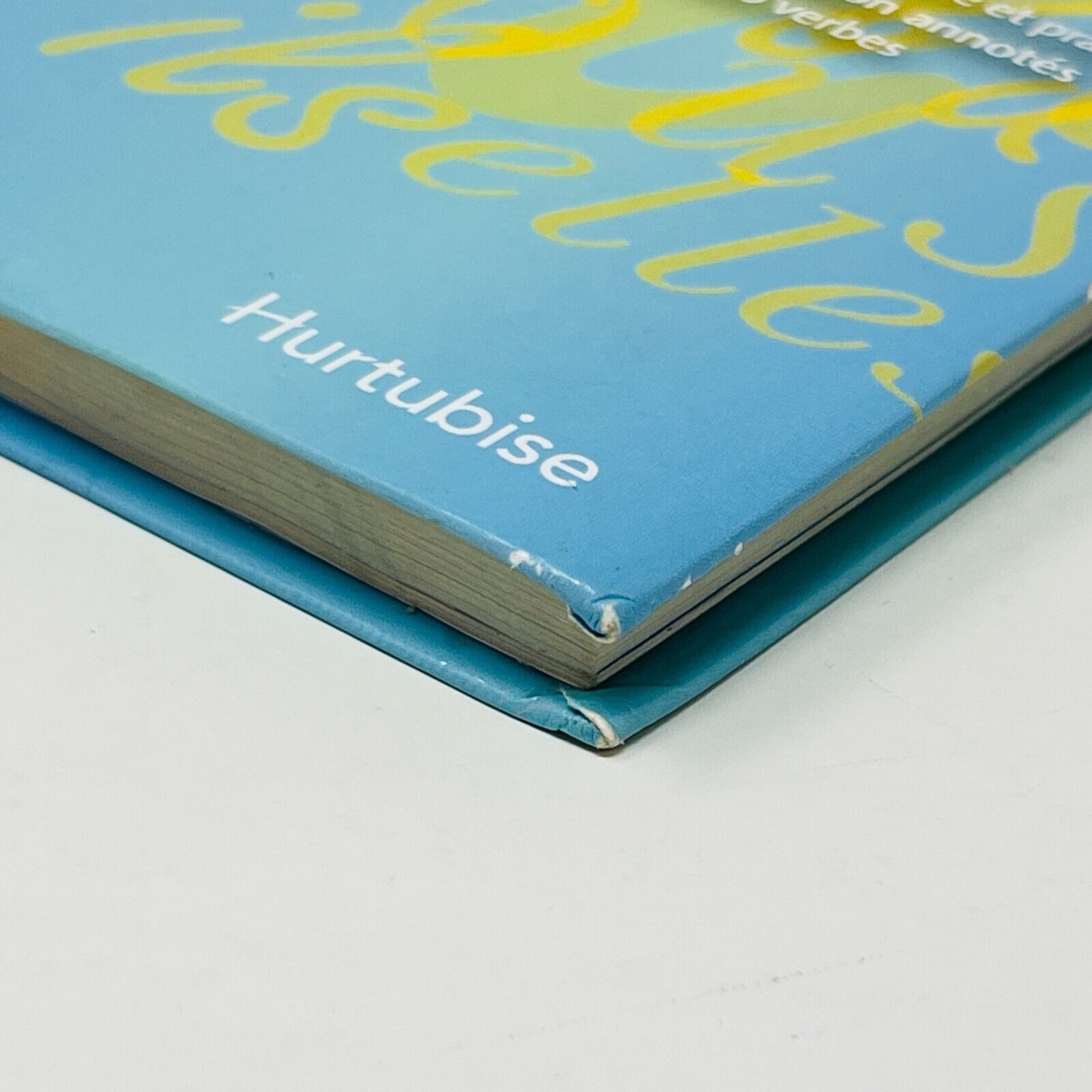 Bescherelle Petit Guide De Conjugaison Junior Livre Hurtubise Grammaire Verbes