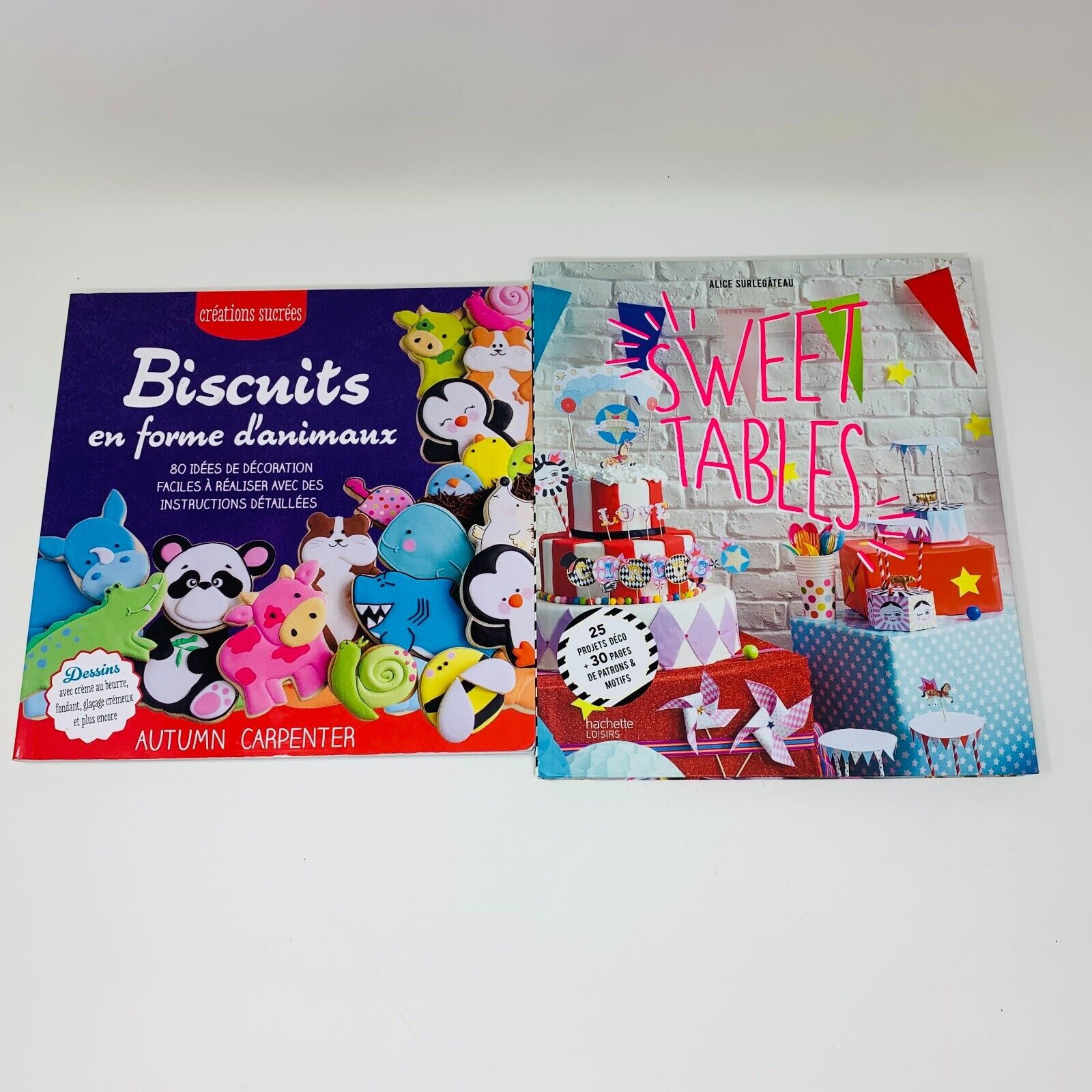 Lot 9 Livres Jeunes Enfants Princesses Fée Français French Mixed Children Bundle