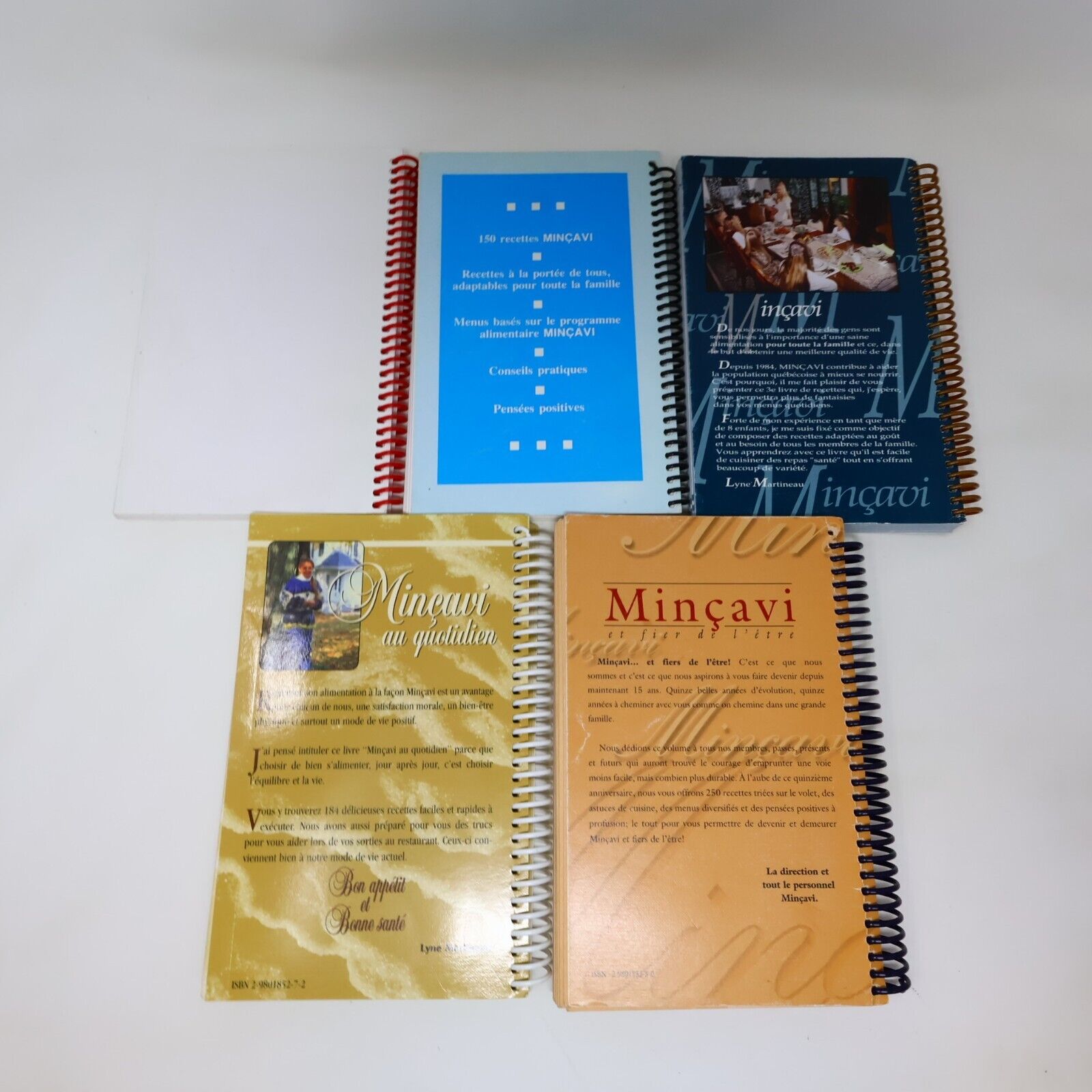 Lot 5 Livres Recettes Cuisine Minçavi #1-5 de Lyne Martineau Français 90s French