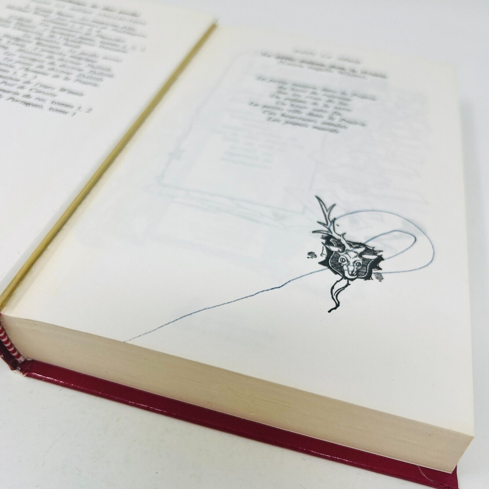 5x Bibliothèque du Chat Perché Oz Peter Pan Docteur Dolittle Lot Livres Français