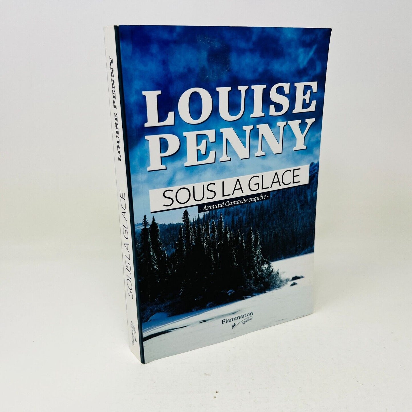 2011 Sous la glace de Louise Penny Armand Gamache Enquête Flammarion en Français