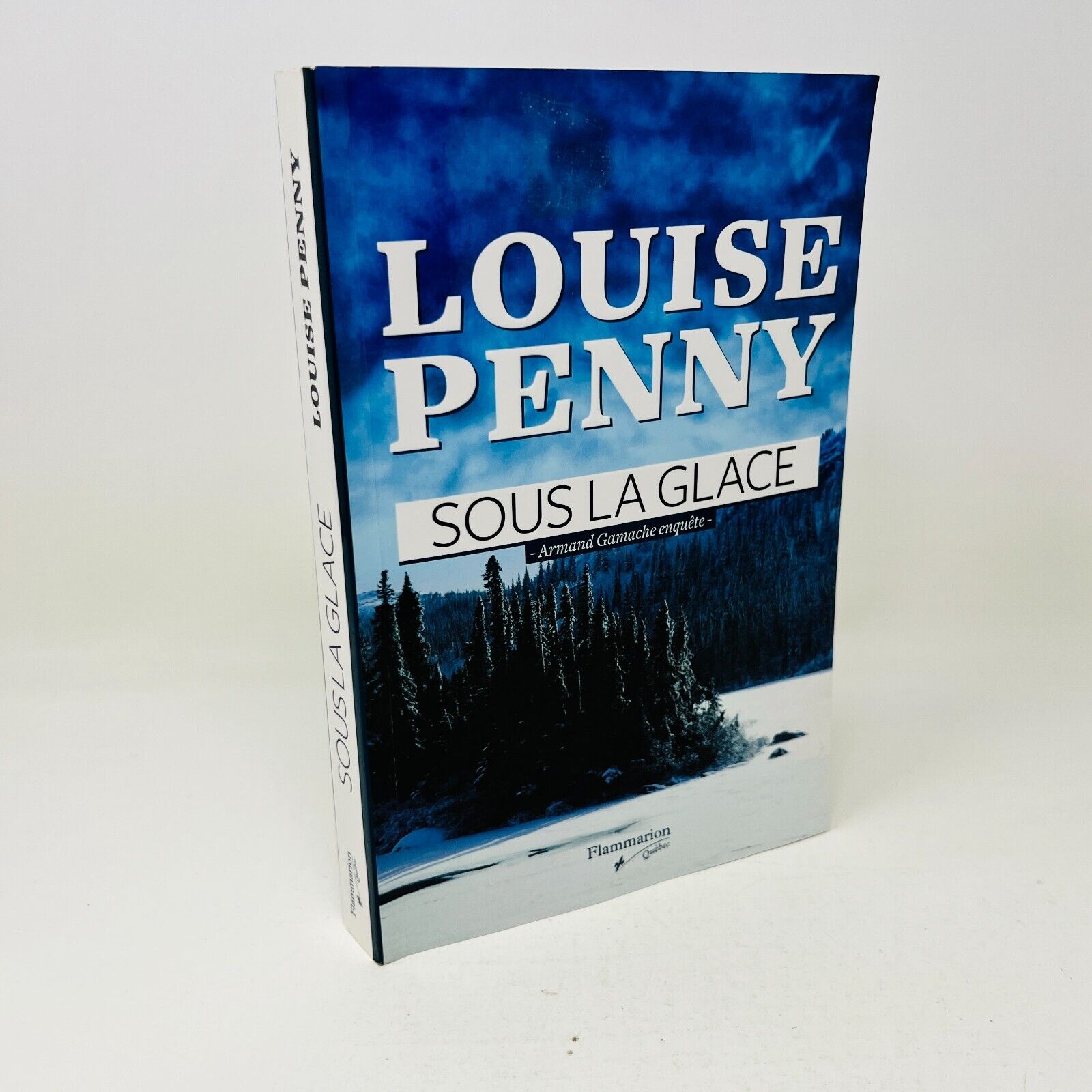 2011 Sous la glace de Louise Penny Armand Gamache Enquête Flammarion en Français