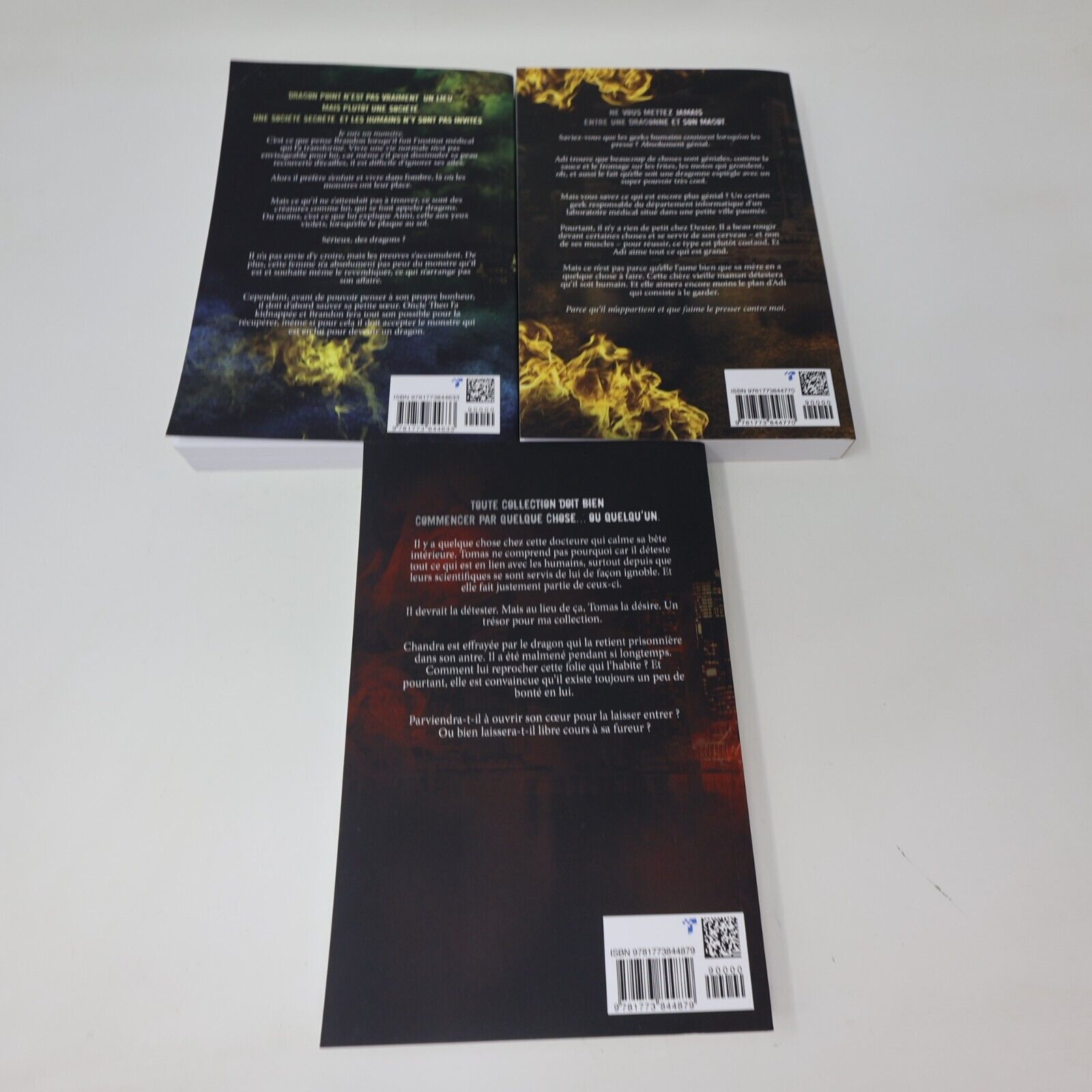 Lot 8 Eve Langlais Dragon Point Bitten Point Lois de la Meute Livres Français PB