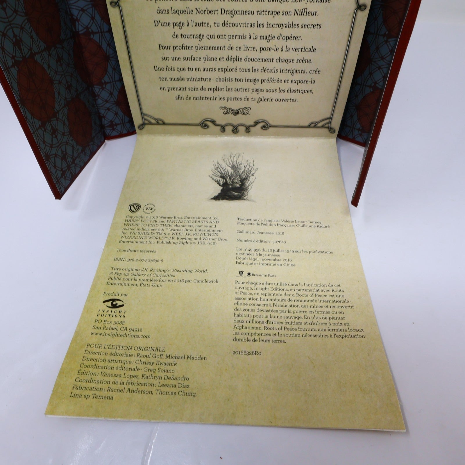 Le Monde des Sorciers de J.K. Rowling Pop-Up Harry Potter Animaux Fantastiques