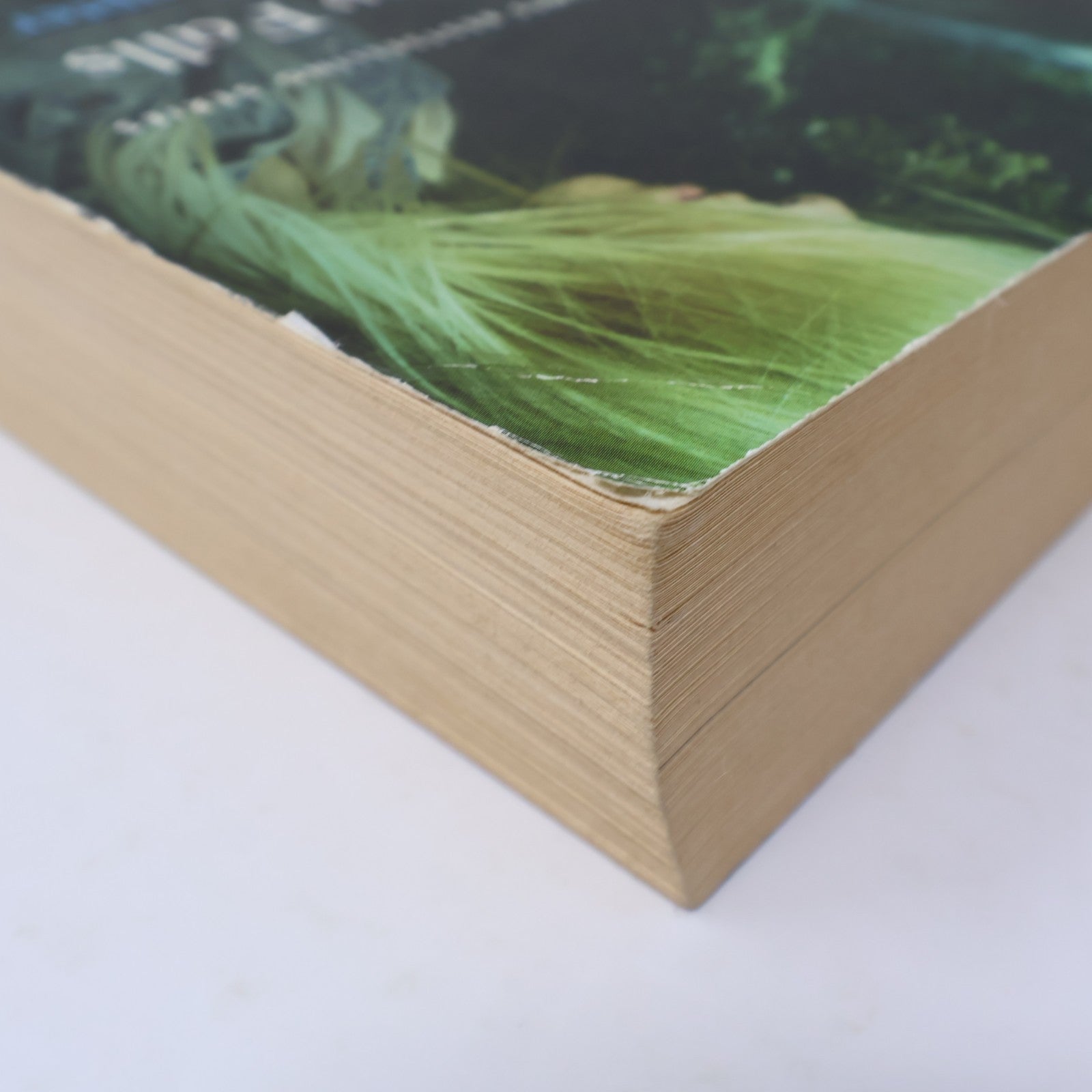 Taken At Dusk/Whispers At Moonrise C. C. Hunter Shadow Falls the Next Chapter PB