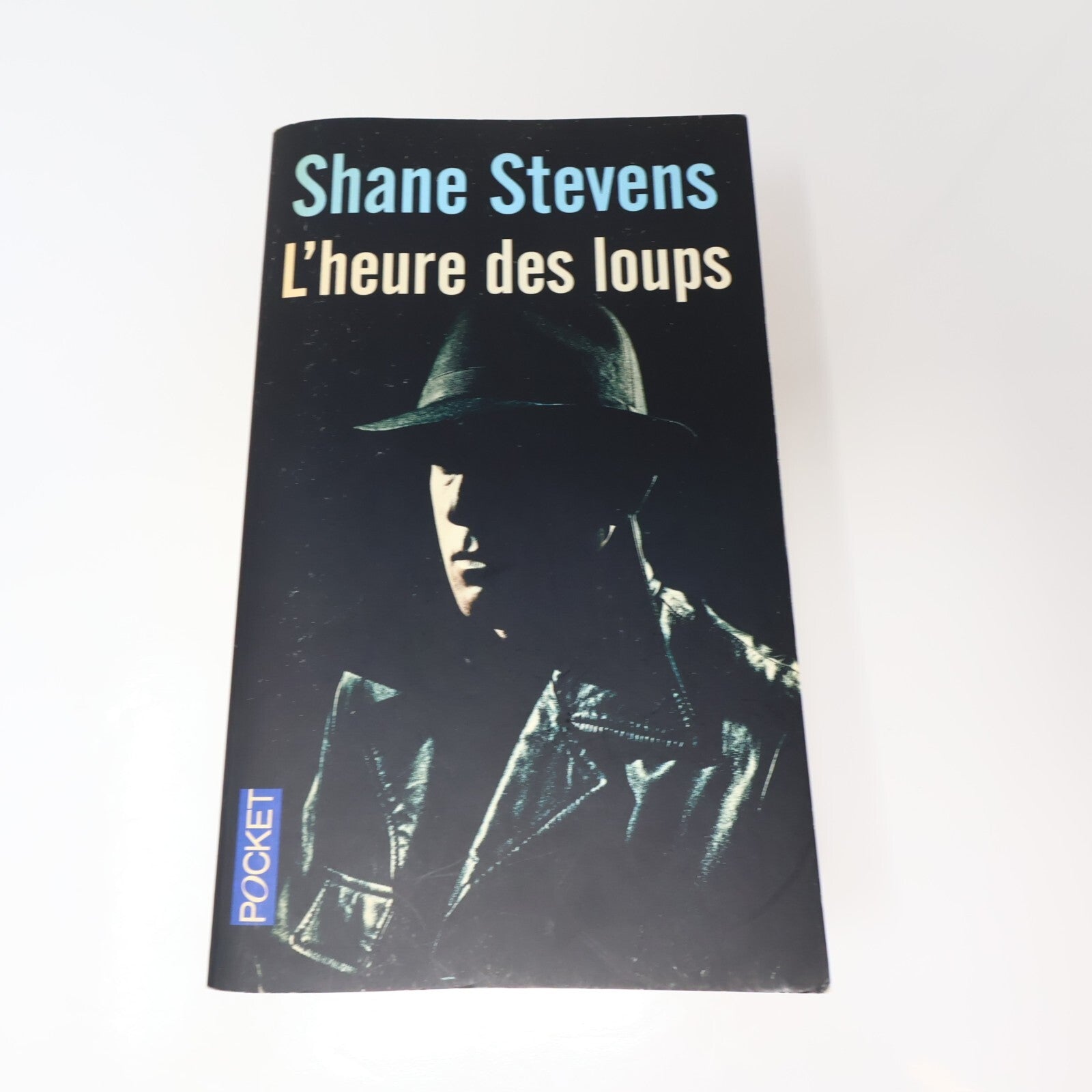 Crime et Mystère Policier Thriller Lot 11 Livres Pocket Coben/Camilleri Français