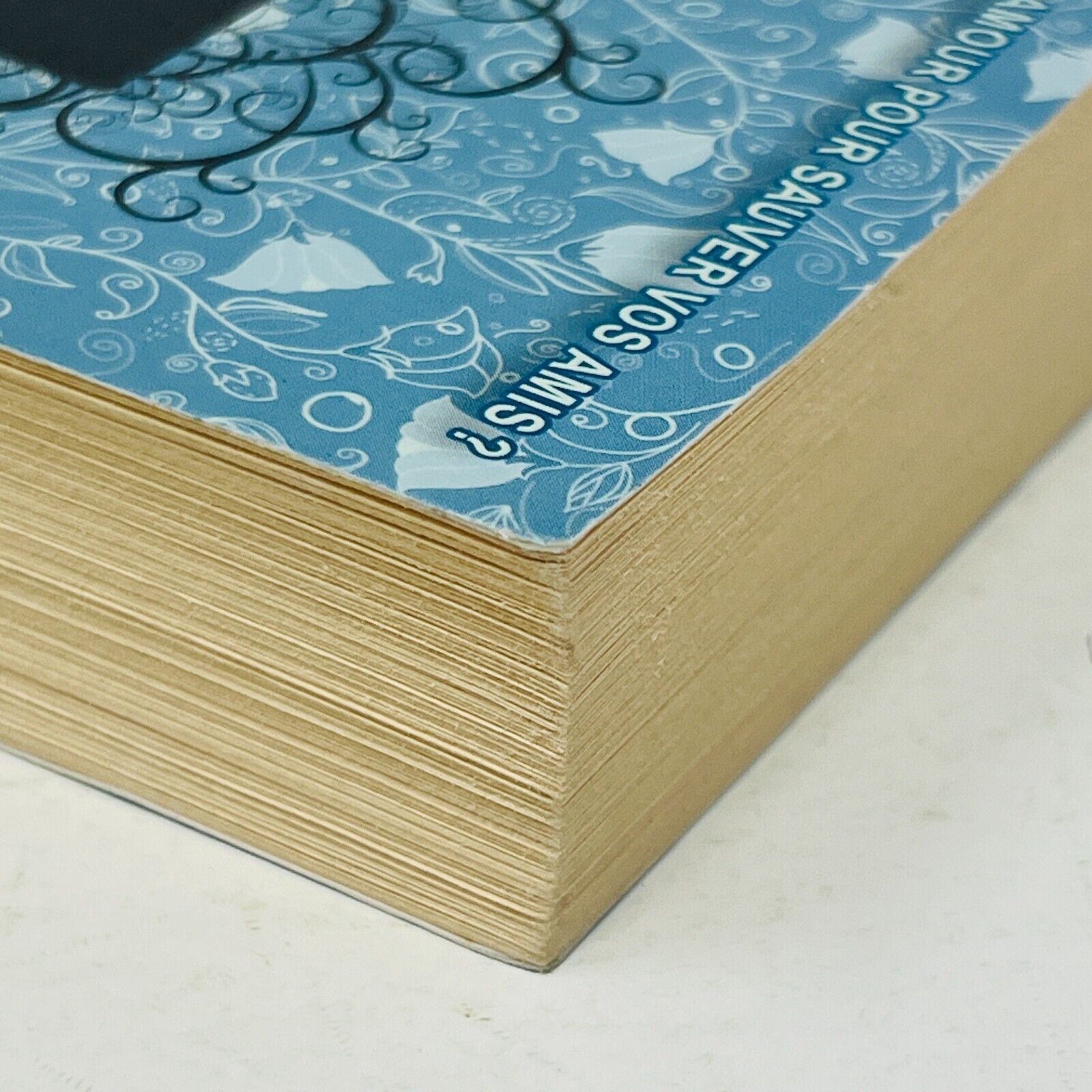2013 Trylles #2 Déchirée de Amanda Hocking Science-Fiction Dystopie Français ADA