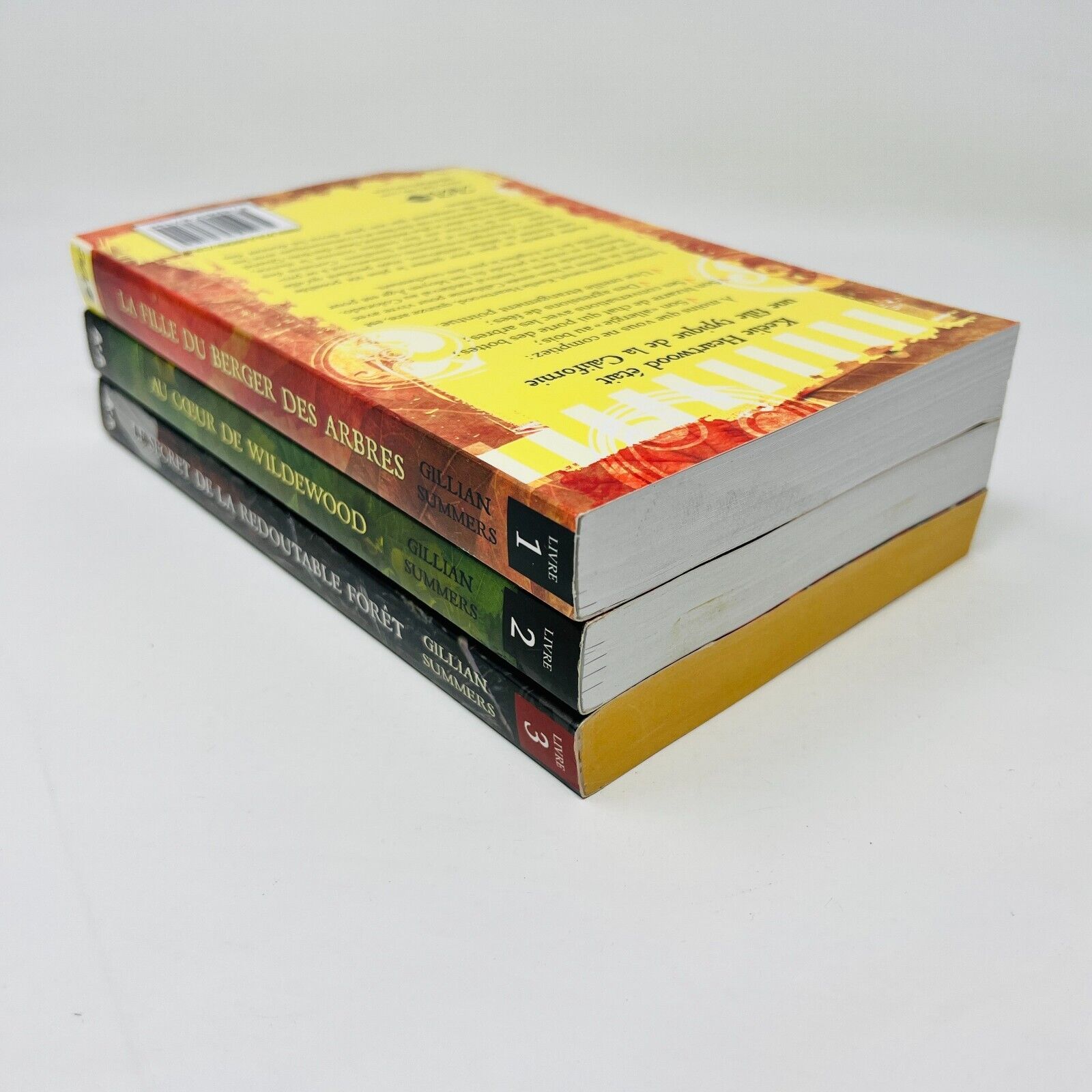 La Trilogie des Gens de la Foire Médiévale Complète Gillian Summer Français Lot