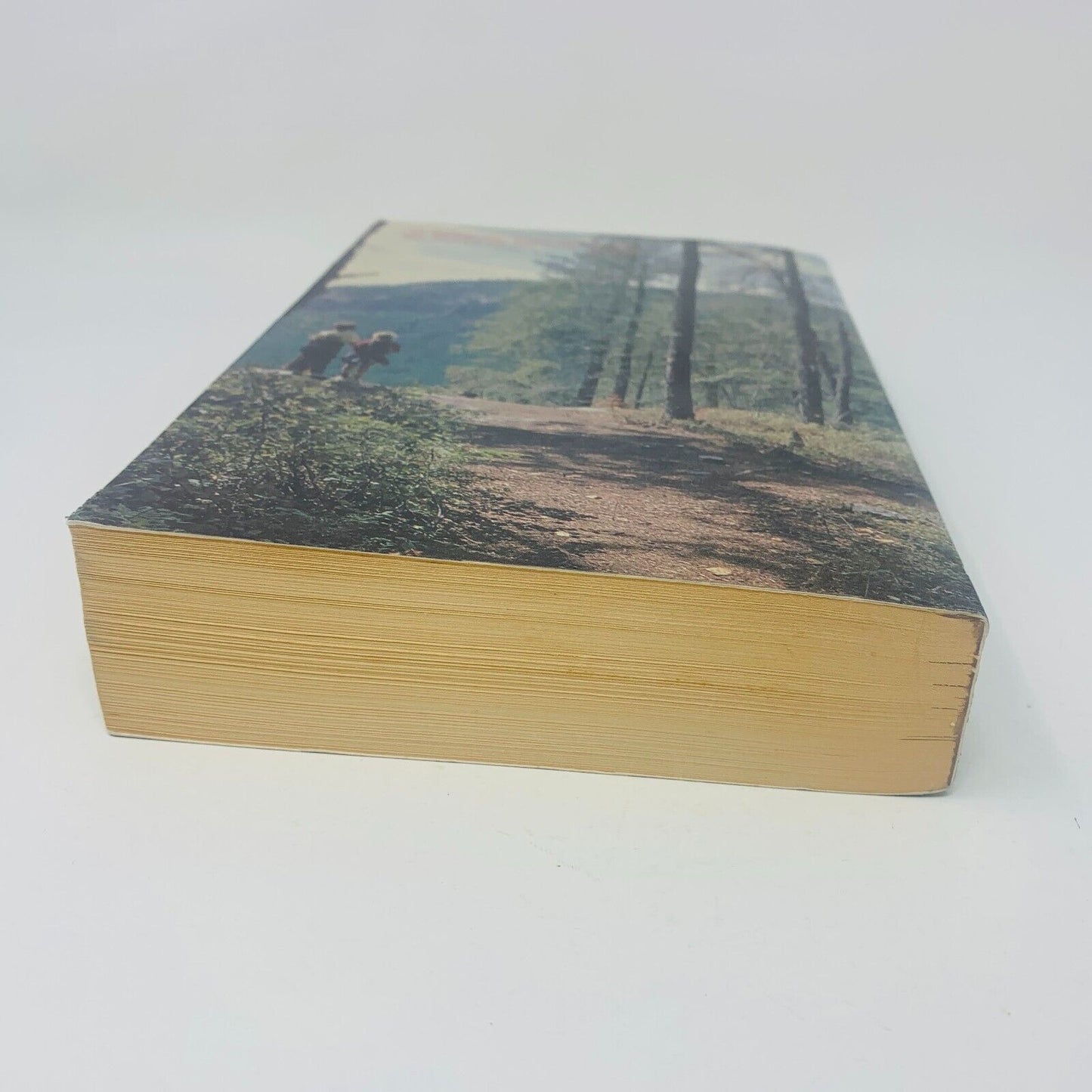 1987 Le Nouveau Testament de la Bible de Jérusalem Anne Sigier / Cerf Français
