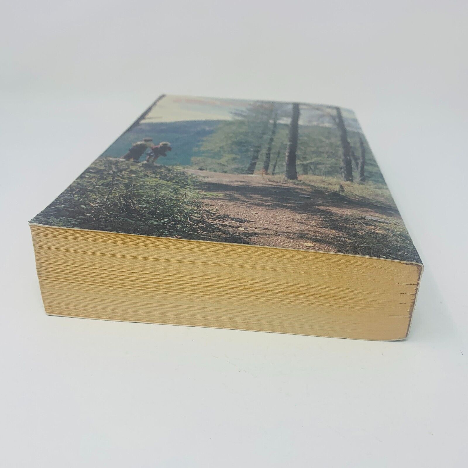 1987 Le Nouveau Testament de la Bible de Jérusalem Anne Sigier / Cerf Français