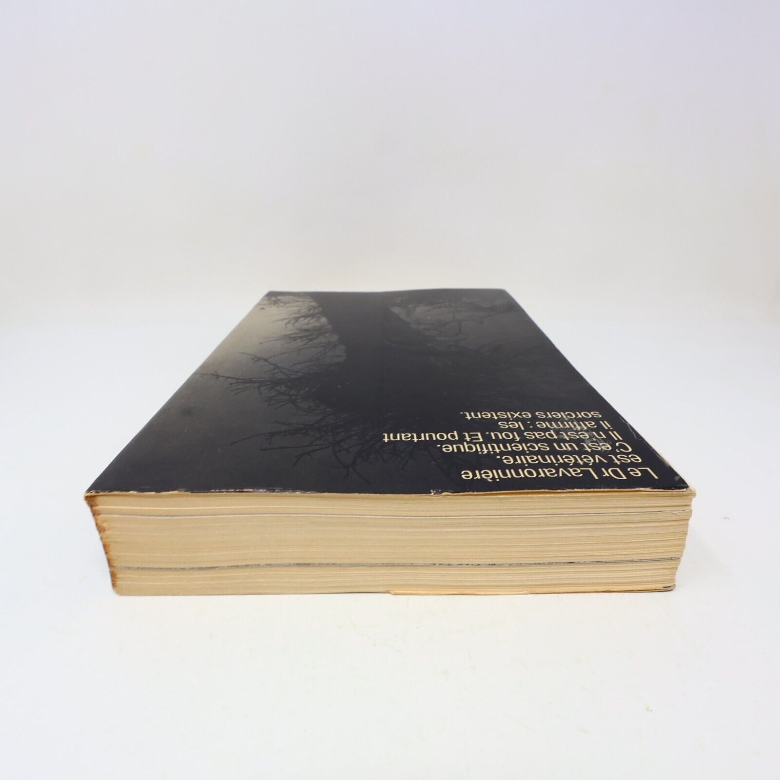 1973 L'Oeil du Sorcier Philippe Alfonsi Patrick Pesnot Ésotérisme Robert Laffont