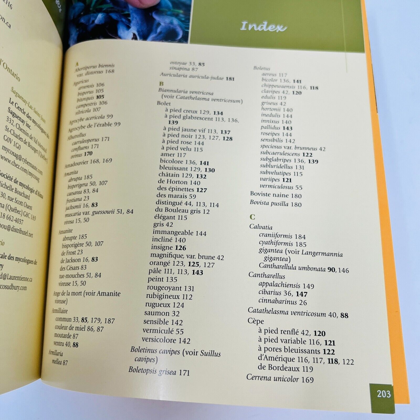 2008 Champignons Comestibles du Québec de Jean Després Français Identification