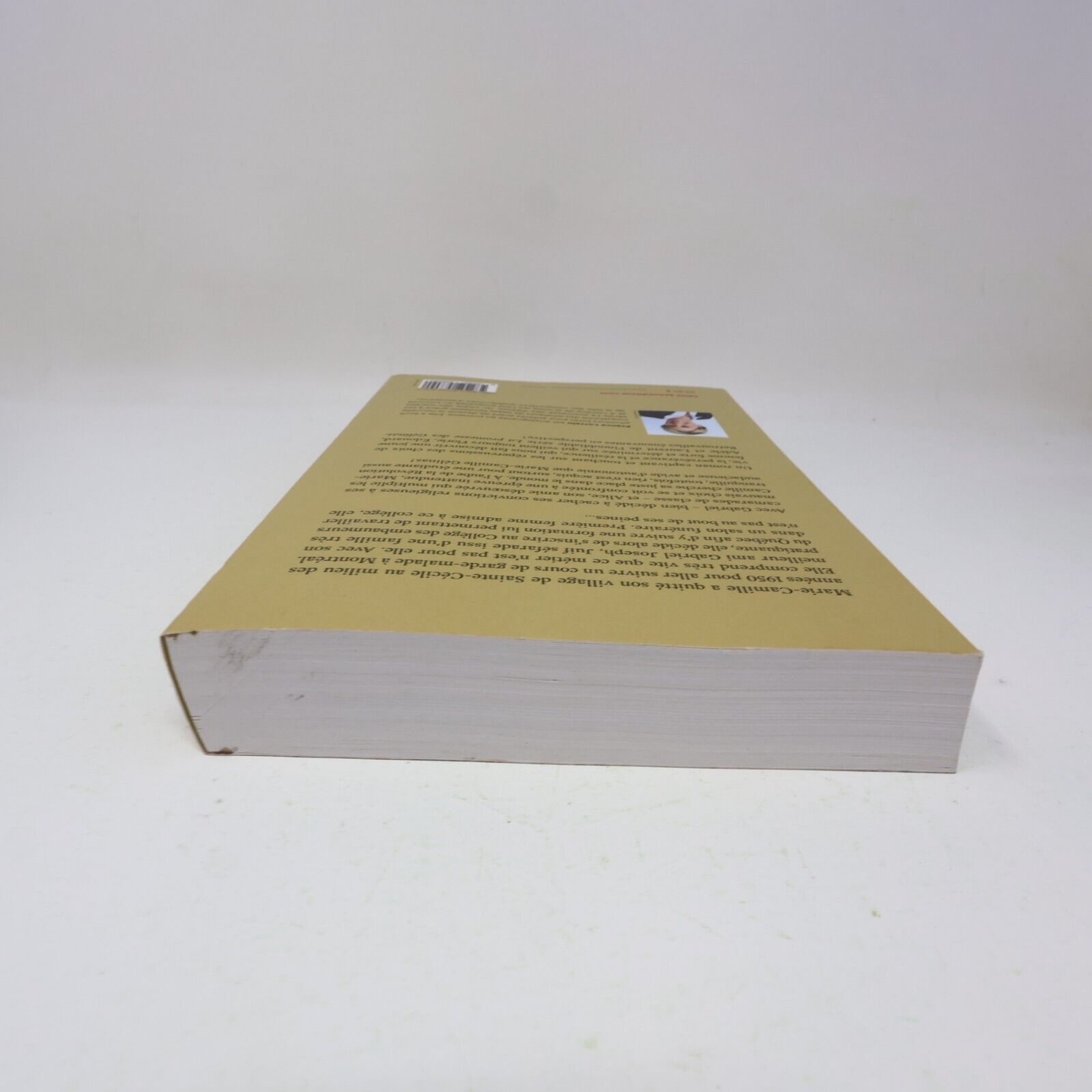 2019 Marie-Camille Tome 1 France Lorrain Roman Historique Québec Guy Saint-Jean