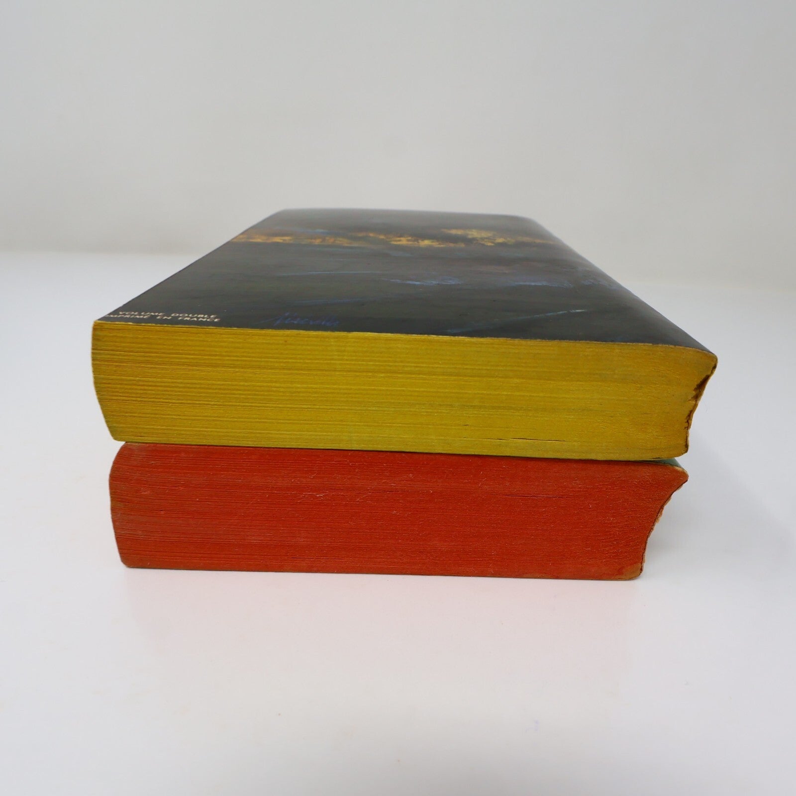 Émile Zola Lot 2 Livres Poche La Joie de Vivre/Bête Humaine Roman France French