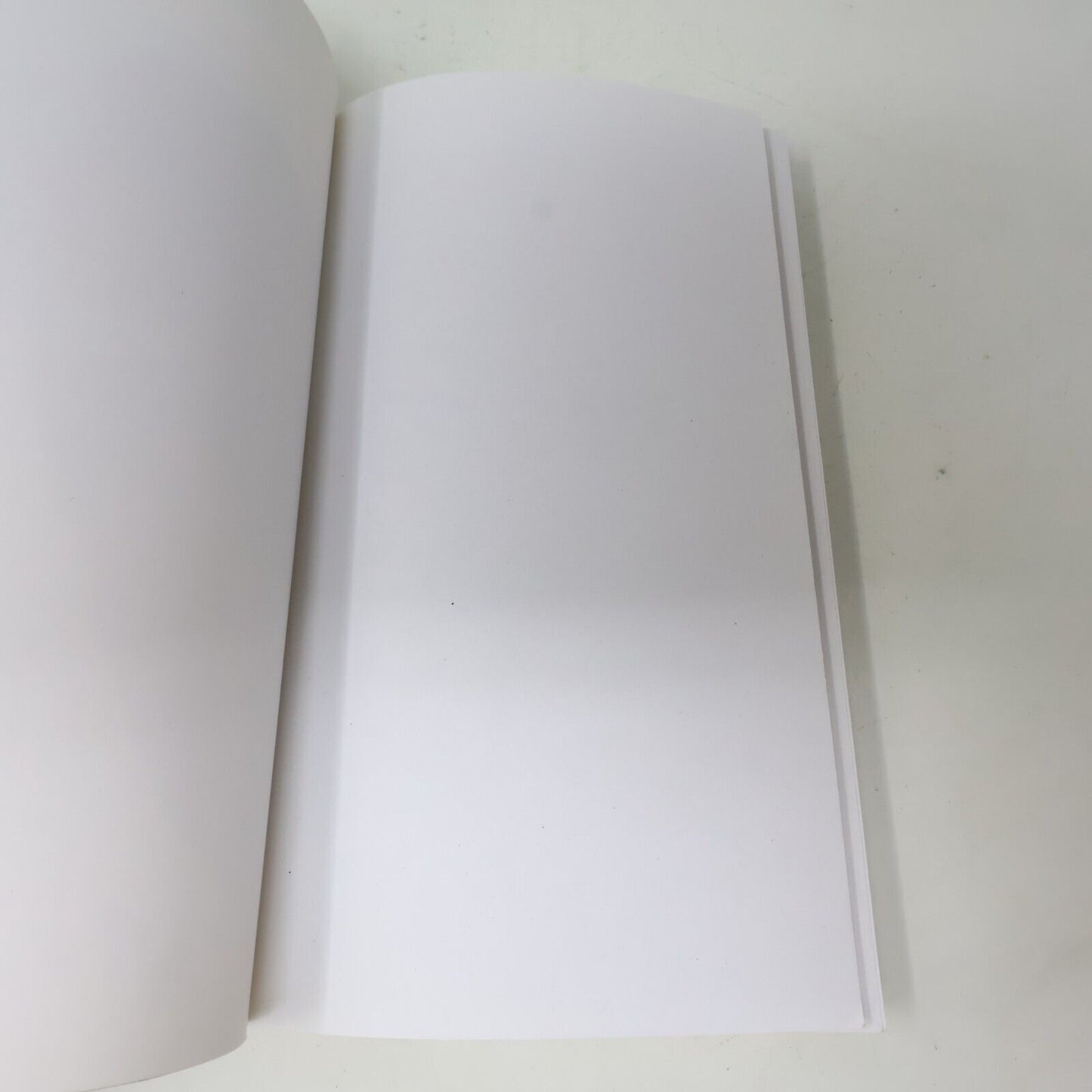 2015 Buena Vida de Florence K Biographie Libre Expression Français Livre PB Art