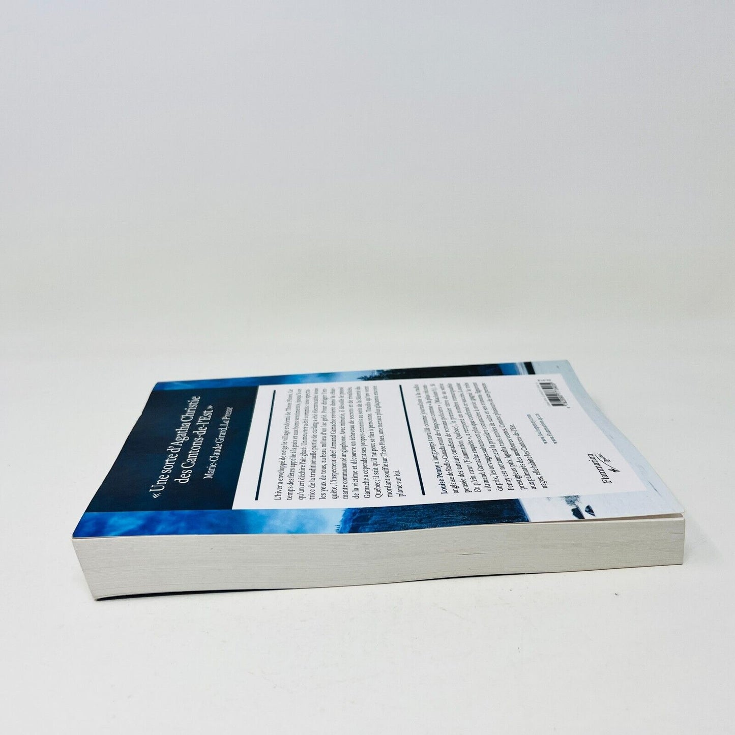 2011 Sous la glace de Louise Penny Armand Gamache Enquête Flammarion en Français