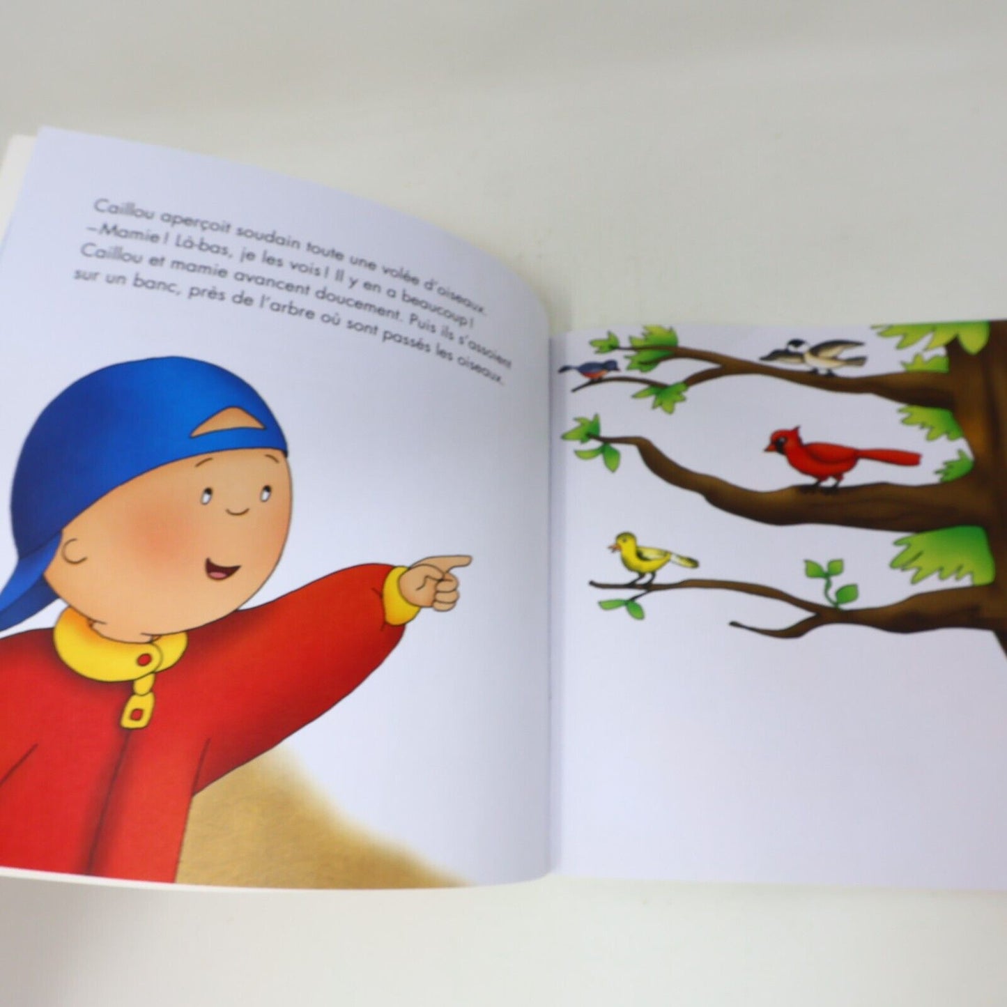Lot 8 Livres Caillou Jeunes Enfants Chouette Français French Books