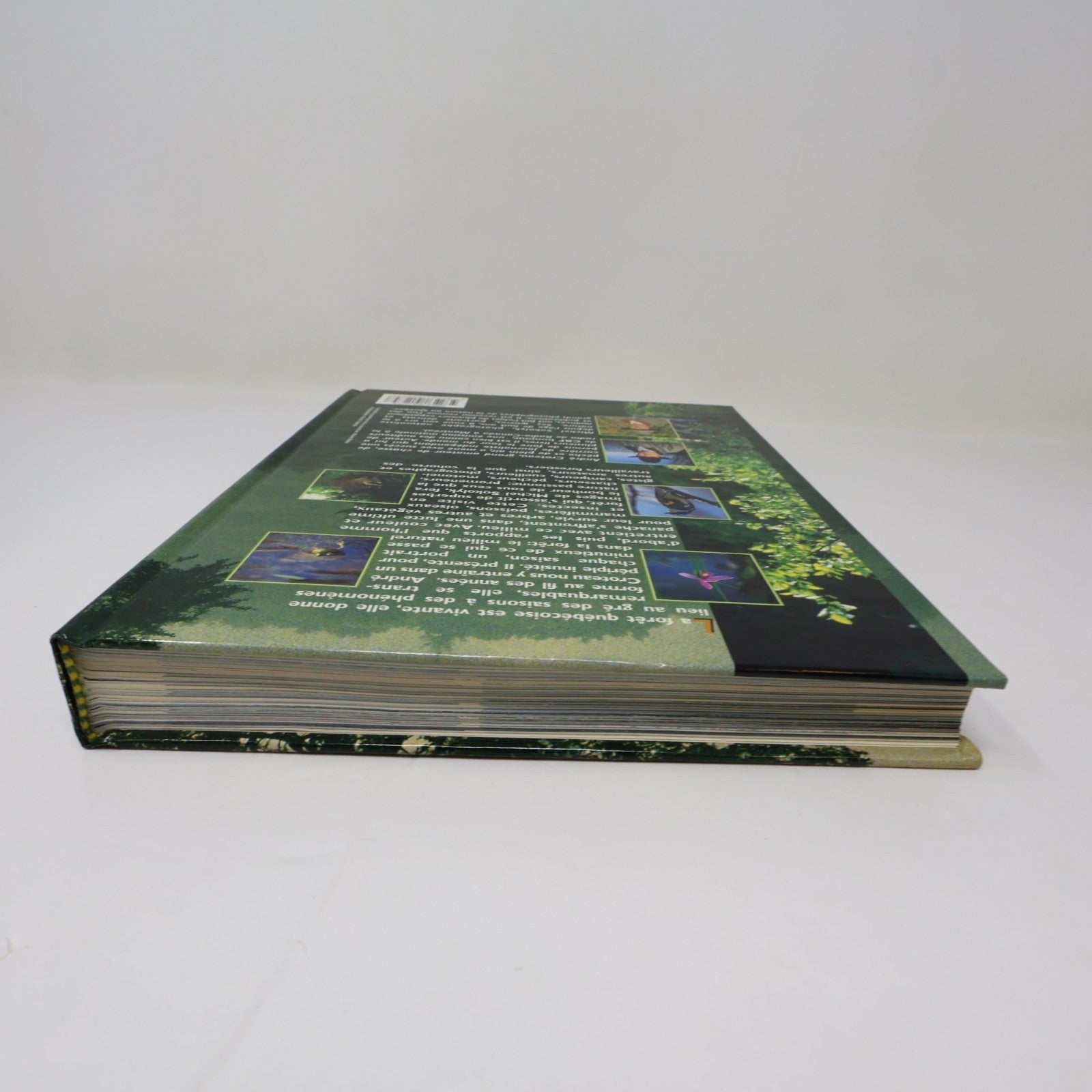 Guide de la Forêt Québécoise André Croteau De L'homme 1996 HC Arbres Nature 90s