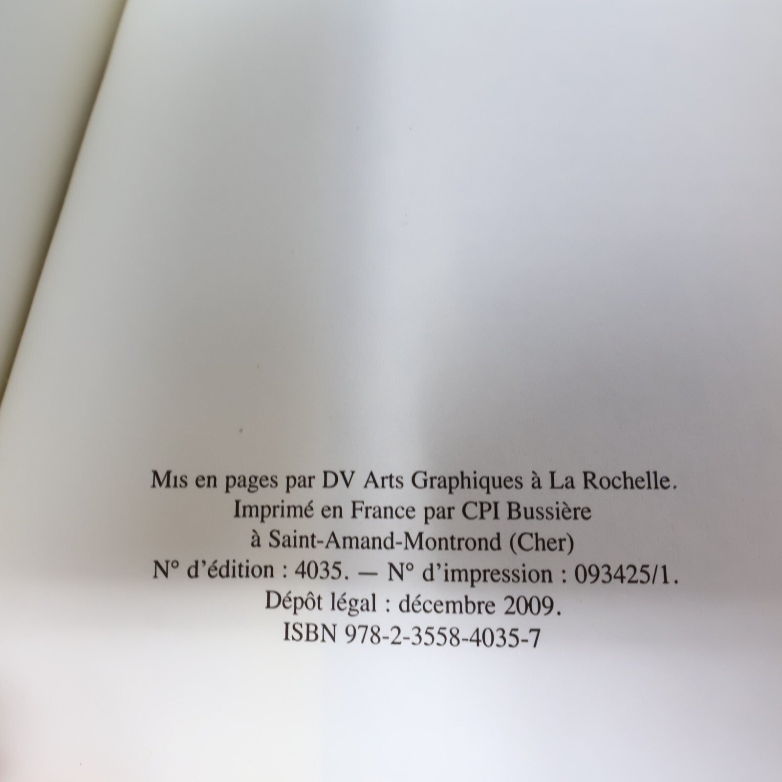 2009 Les Lieux Sombres Gillian Flynn Sonatine Crime et Mystère Policier Thriller