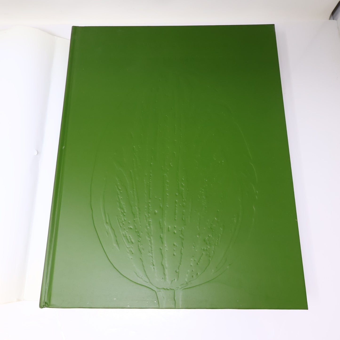 The Tulip Anthology Ron Van Dongen Chronicle Books 2010 HC DJ Art Photography