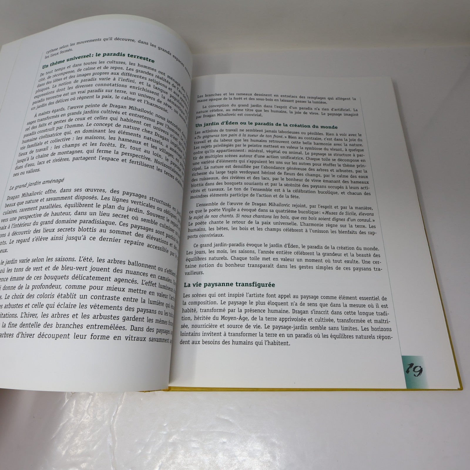 Dragan Art Monographie d'Artiste 1995 HC Galerie Jeannine Blais Hardcover Book