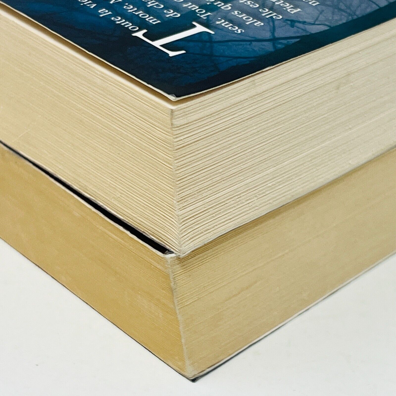 Sentence 13 #1-2 de Shannon Delany Ada en Français/French Lot Ombres et Secrets