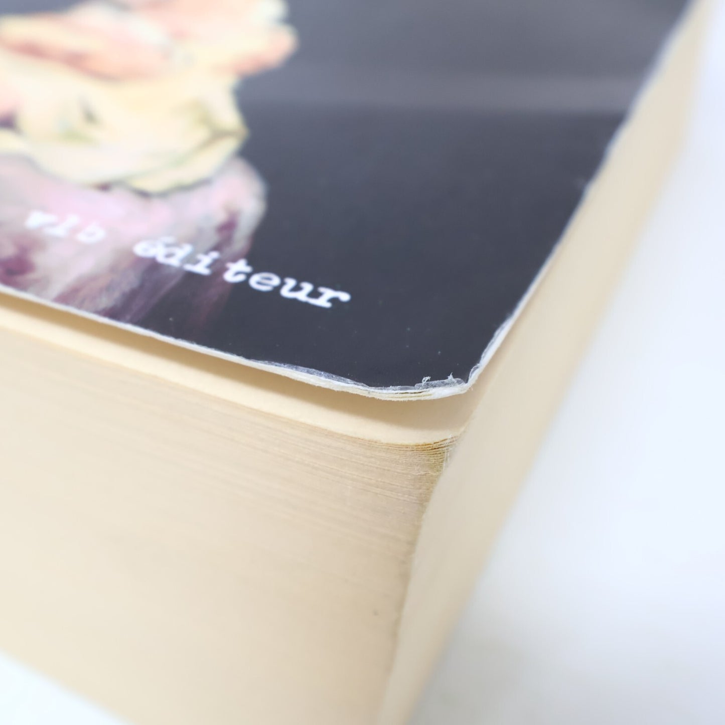 Les Accoucheuses #1-3 Série Complète Lot 3 Livres Anne-Marie Sicotte La Fierté
