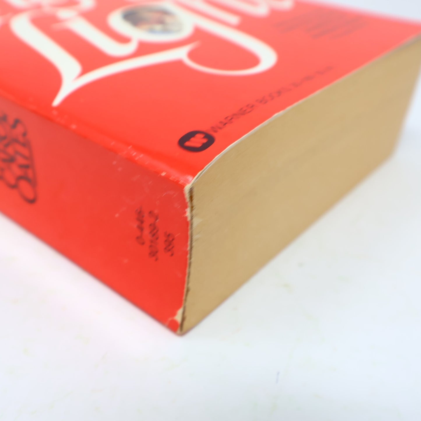 1982 Angel of Light Joyce Carol Oates Warner Historical Fiction Thriller Book PB