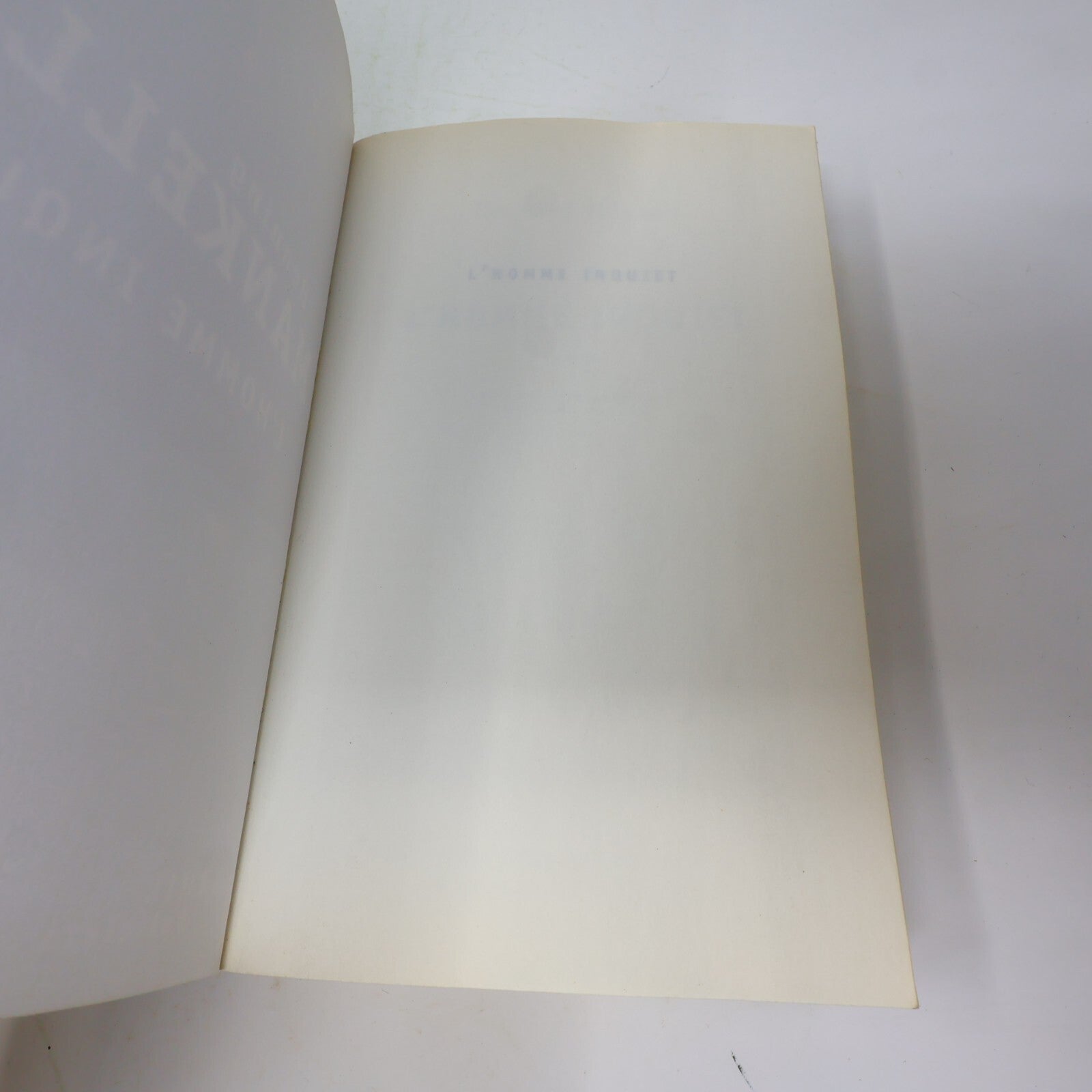 Henning Mankell Lot 4 Livres L'Homme Inquiet/Avant le Gel/Chiens de Riga French