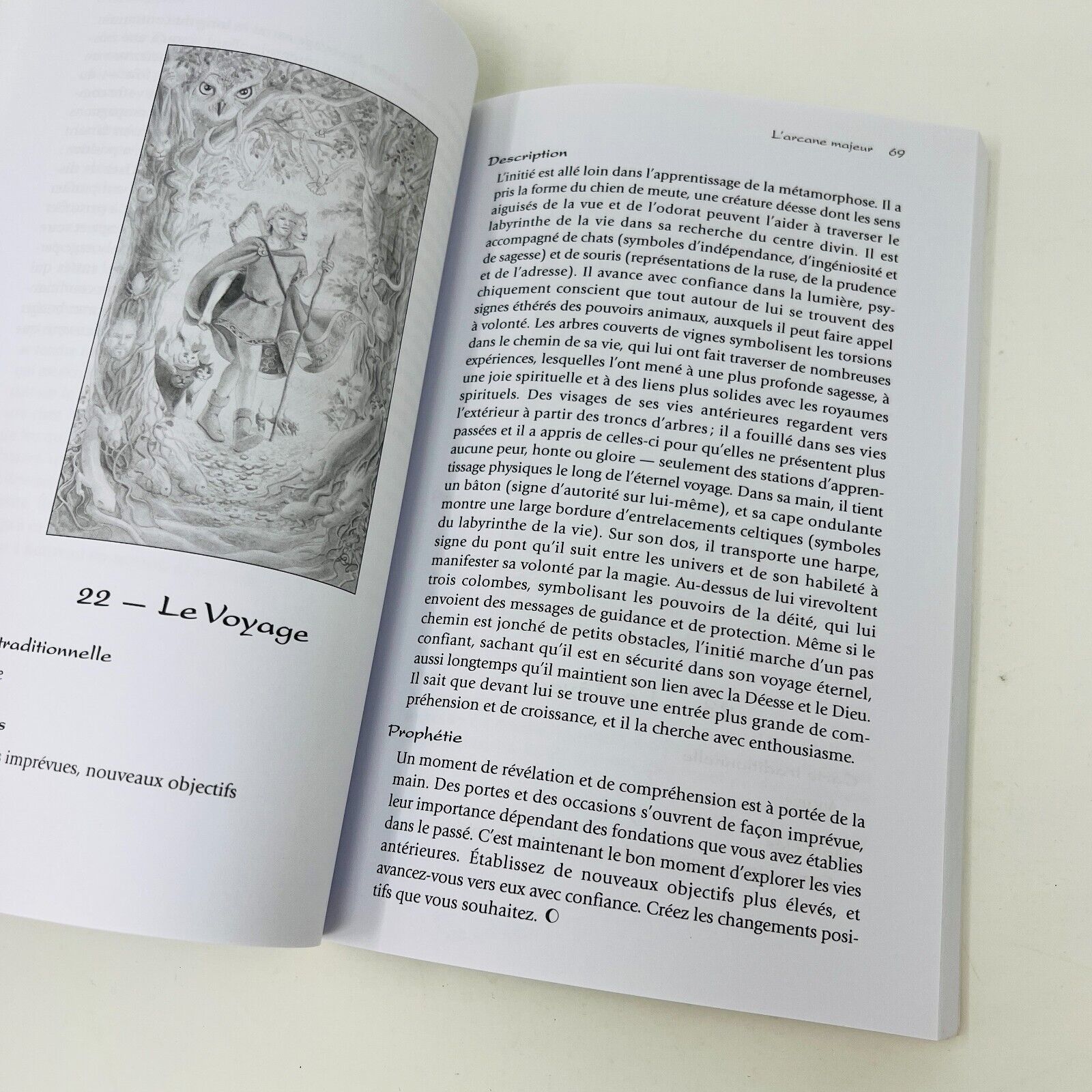 Tarot de la Métamorphose -Livre Seulement- en Français D.J. Conway/Sirona Knight