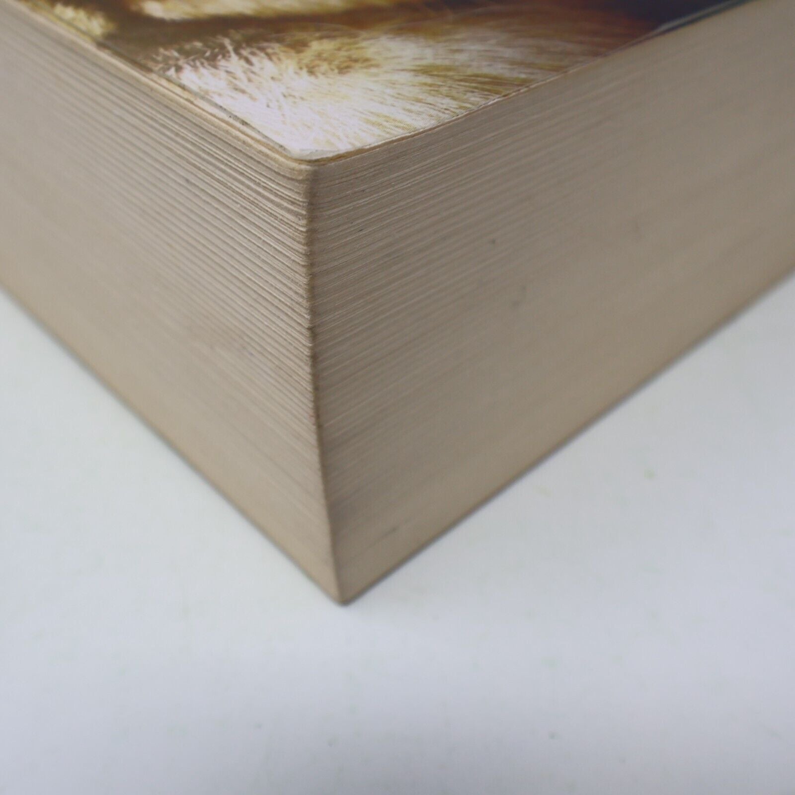 2010 Le Monde de Narnia C. S. Lewis Omnibus Fantasy Illustré Gallimard Français