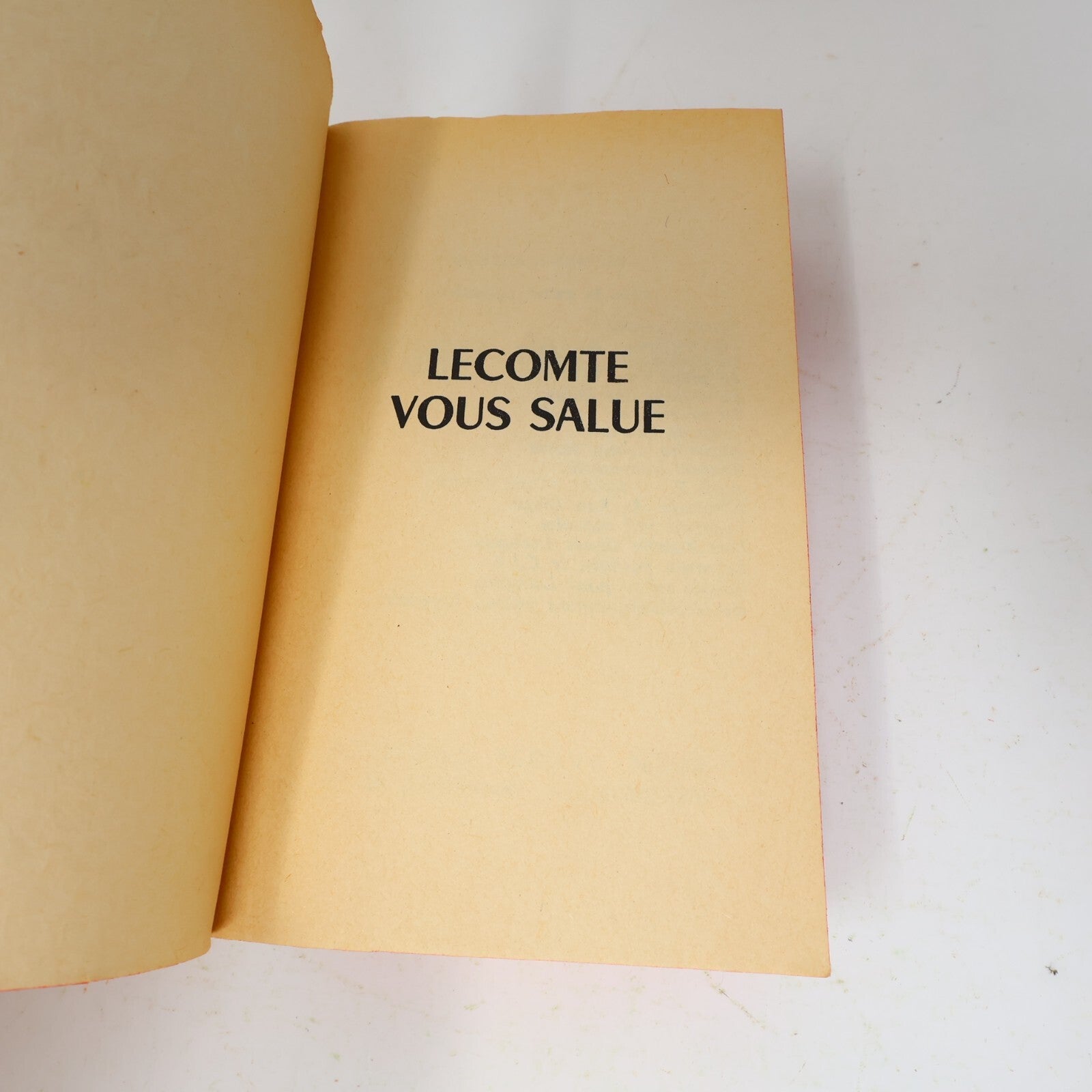 Lot 2 Livres Espionnage Fleuve Noir Ribes/Joste/Arno Le Comte Vous Salue 1960s