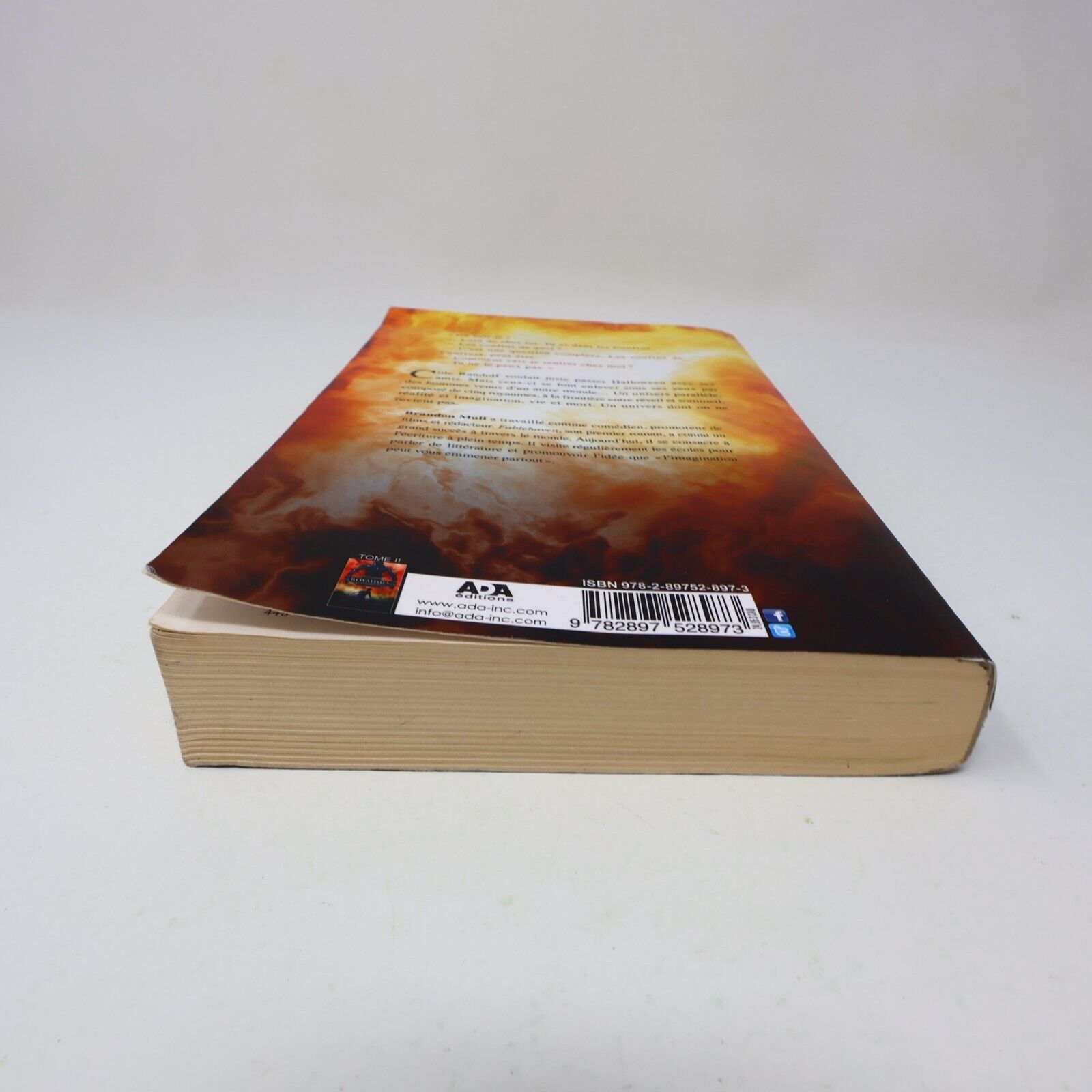 2015 Les Pirates du Ciel Brandon Mull Les Cinq Royaumes #1 Ada Français PB Ados