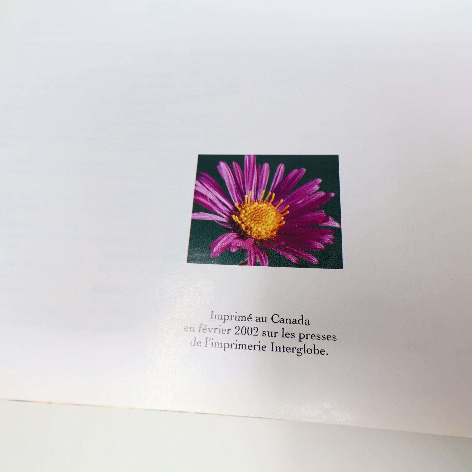 2001 Le Grand Livres des Vivaces Albert Mondor Horticulture Jardinage De L'homme