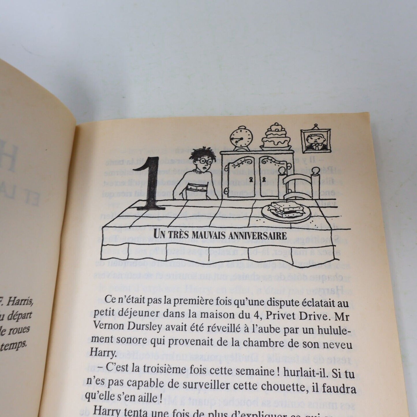 Lot 2 livres illustrés Harry Potter #1-2 Folio Junior 1st Ed Français/French